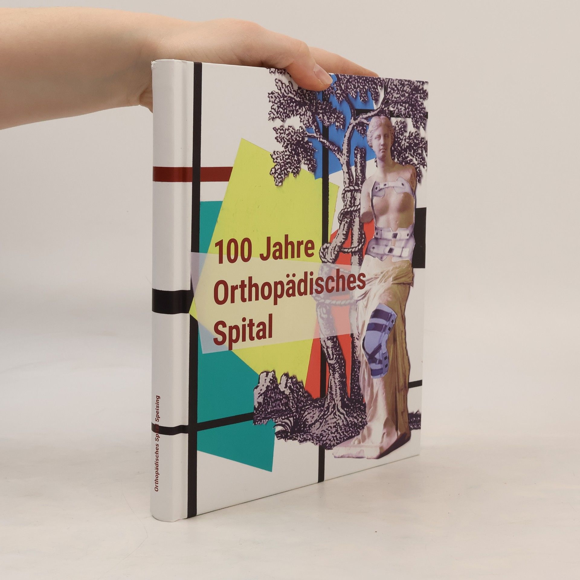 Collectif d'auteurs 100 Jahre Orthopädisches Spital Speising