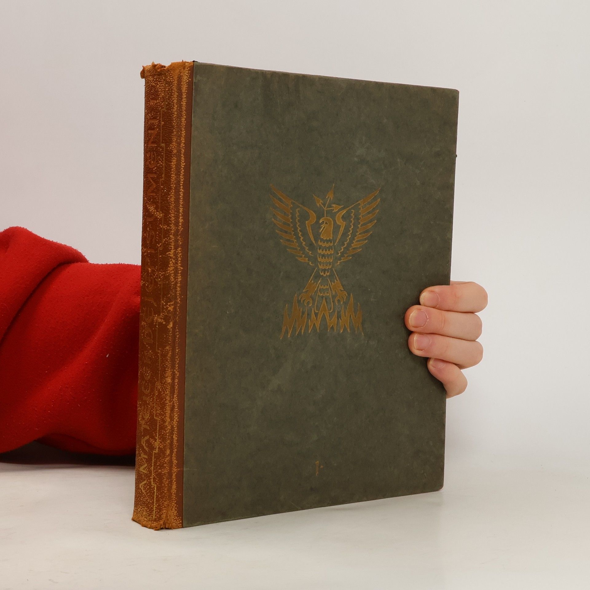 Antotnin Matějček Dějepis umění I