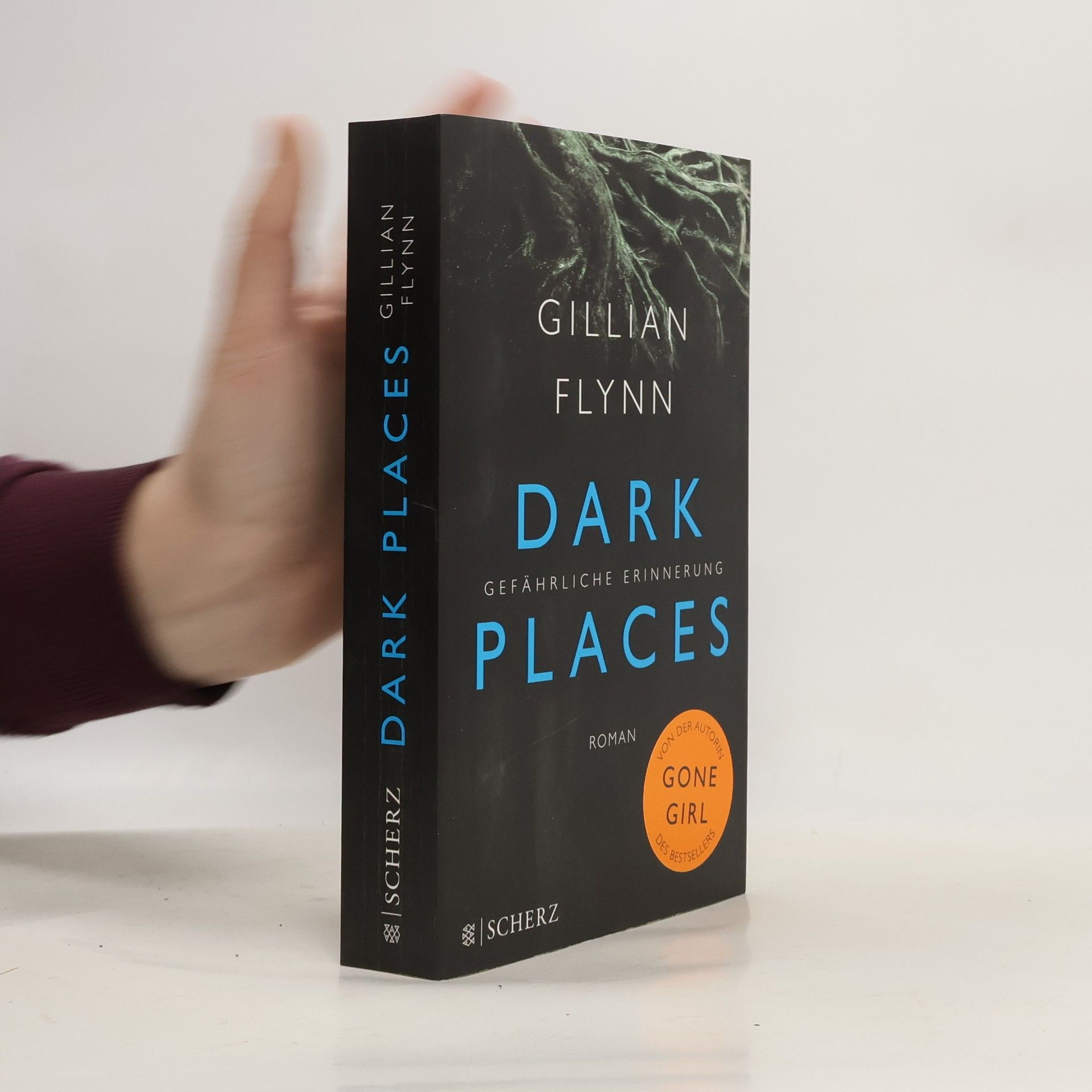Gillian Flynn Dark places
