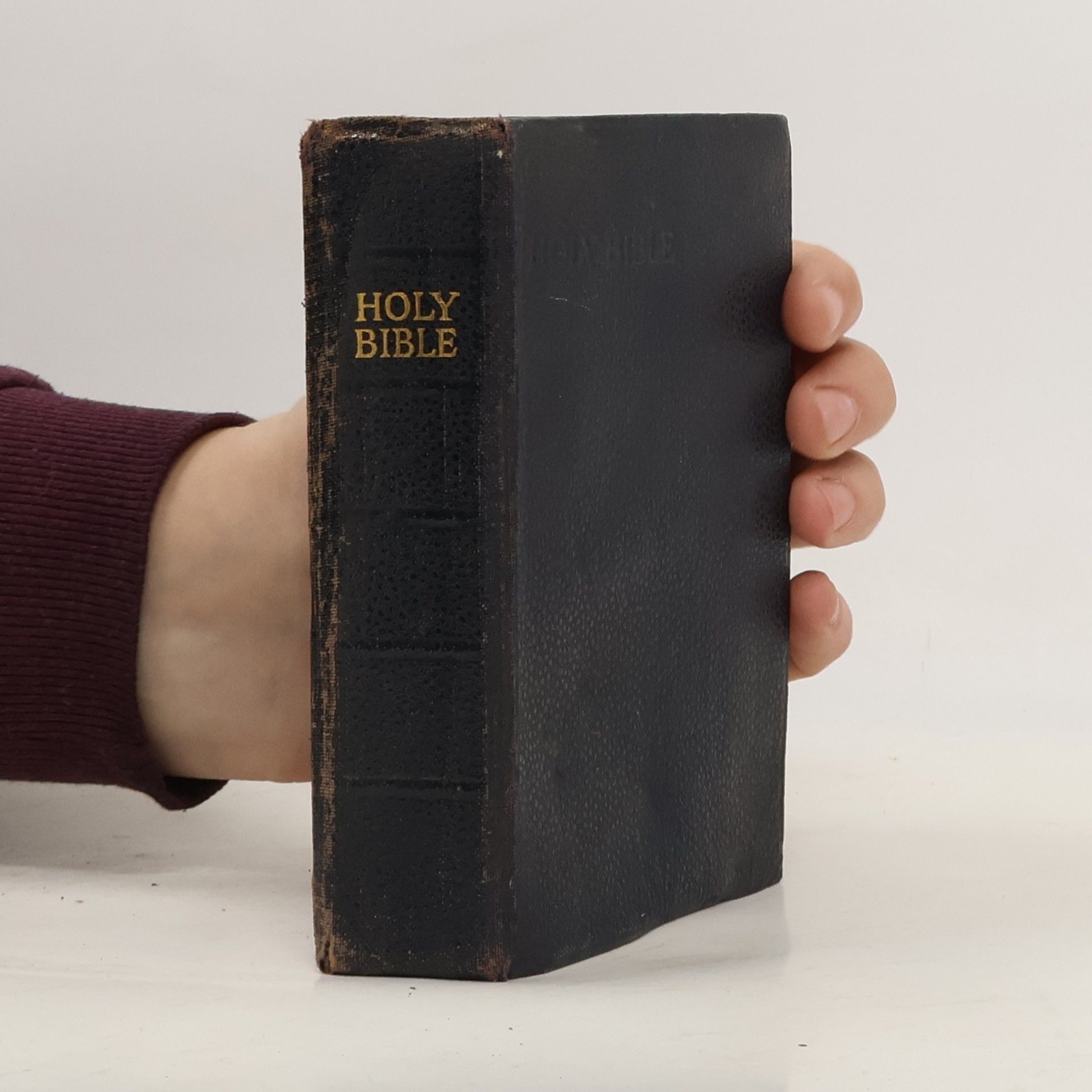 Autorenkollektiv The Holy Bible