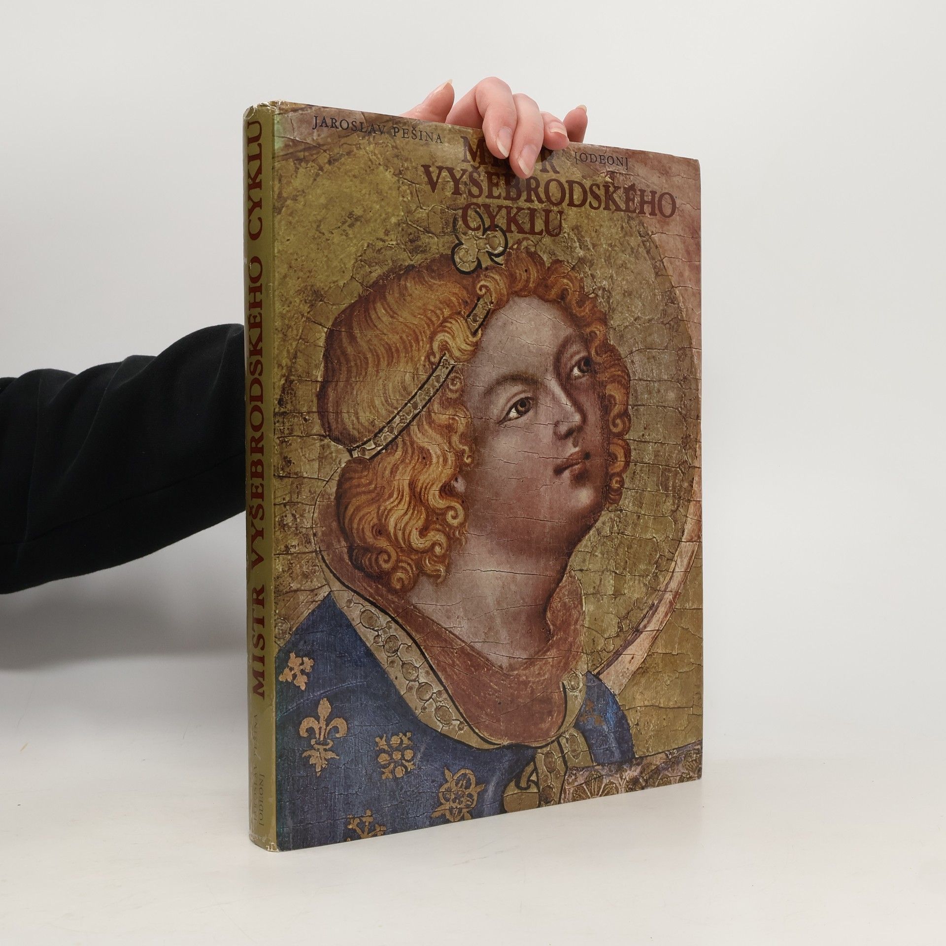 Mistr Vyšebrodského cyklu