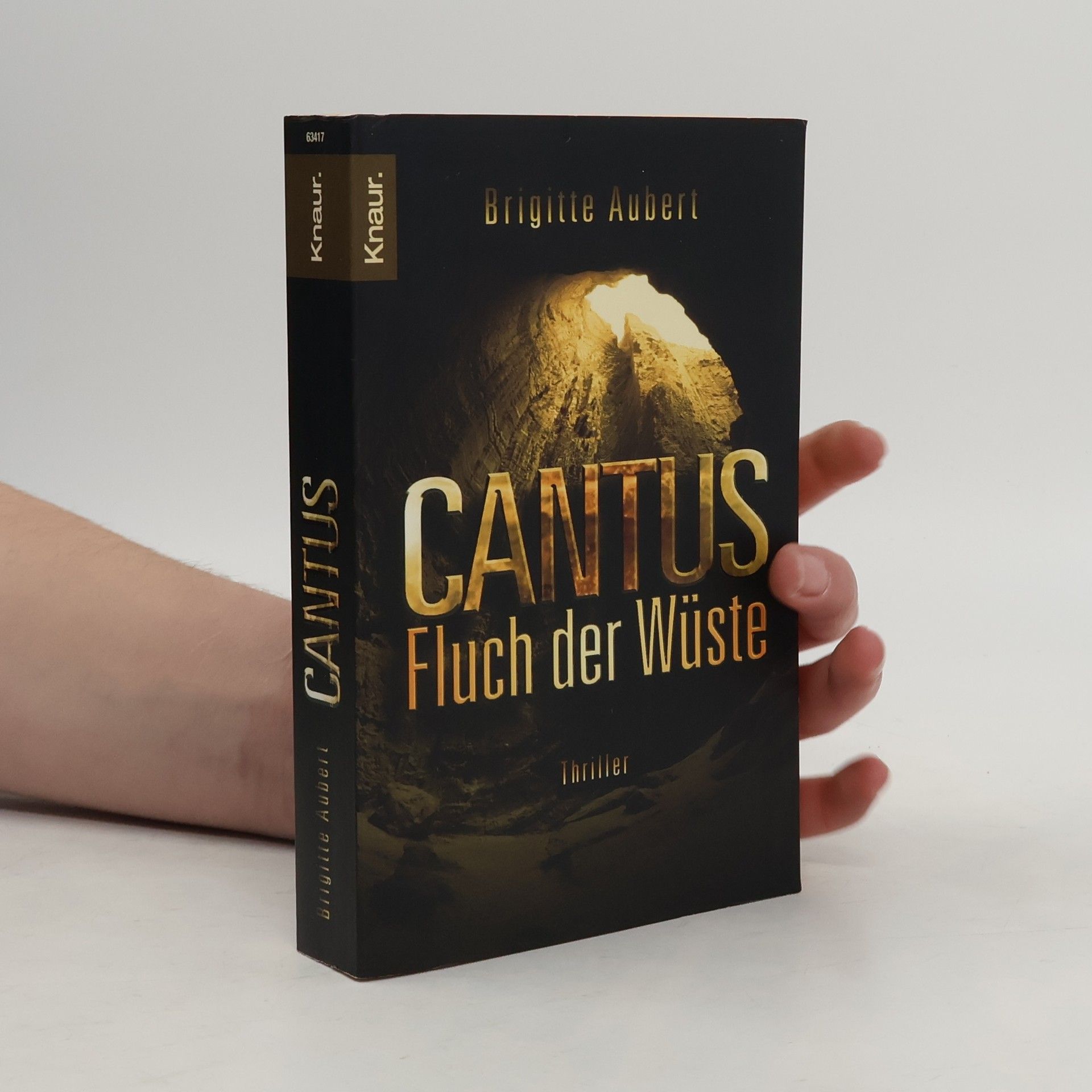 Brigitte Aubert Cantus. Fluch der Wüste