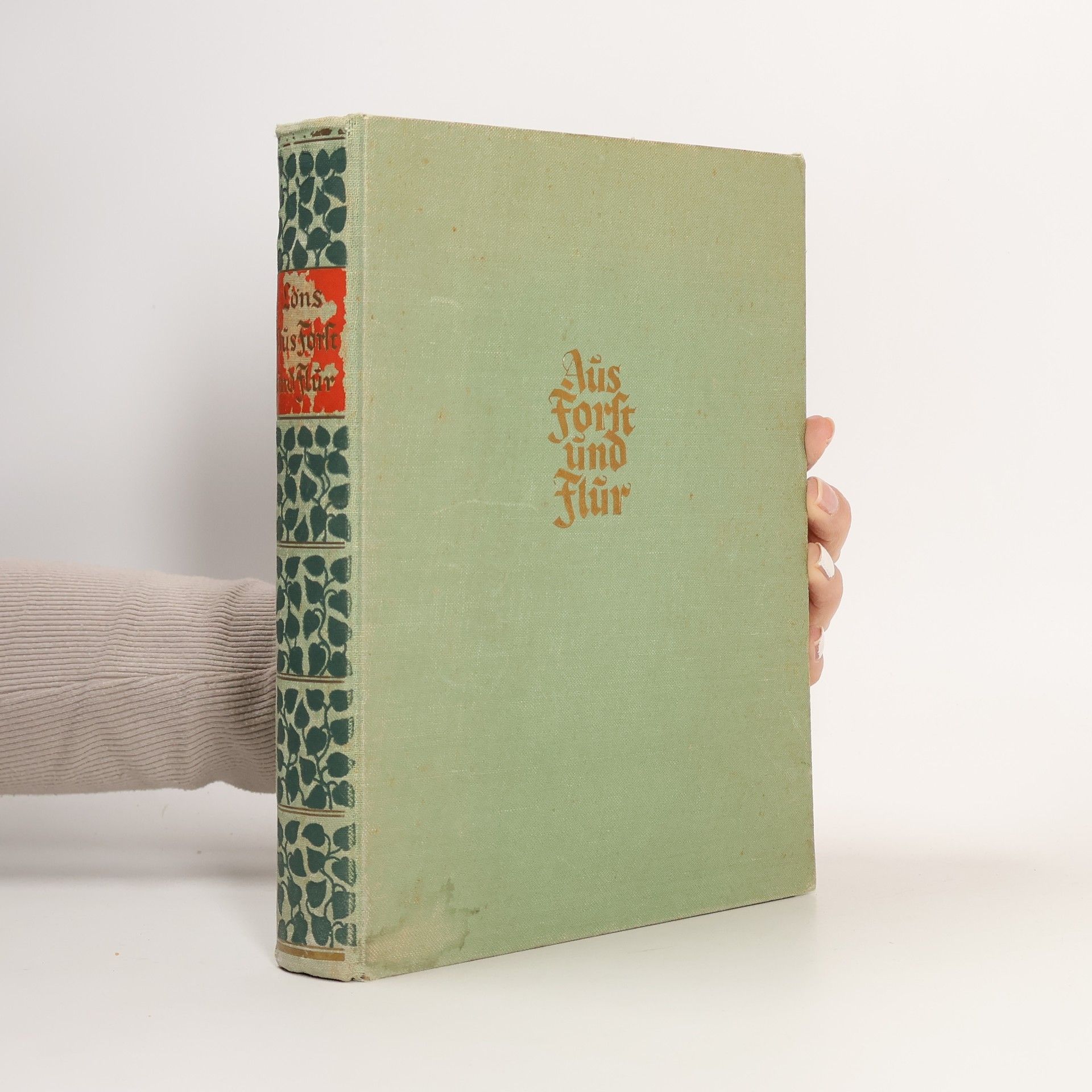 Collectif d'auteurs Aüs forst und flür