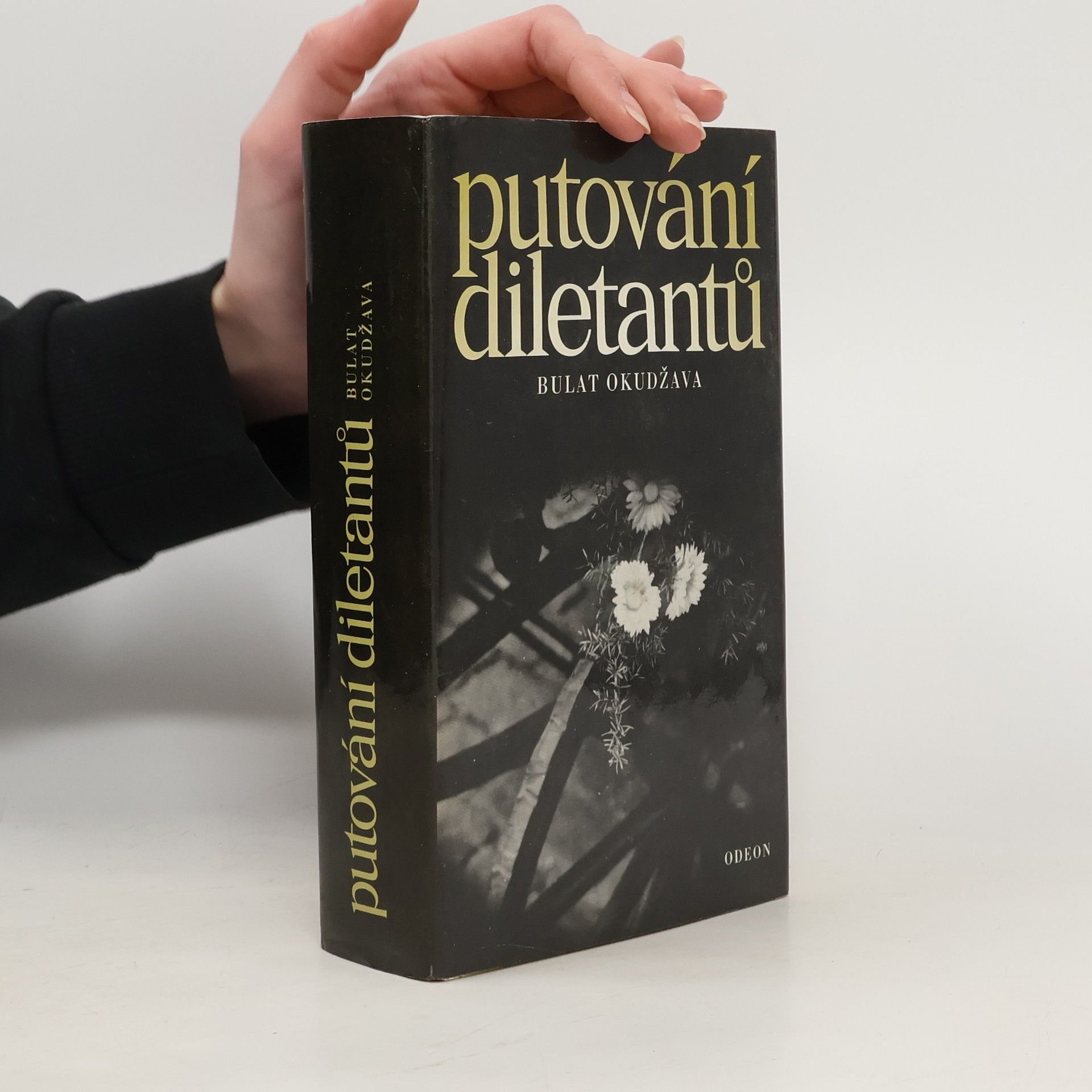 Ludmila Dušková Putování diletantů