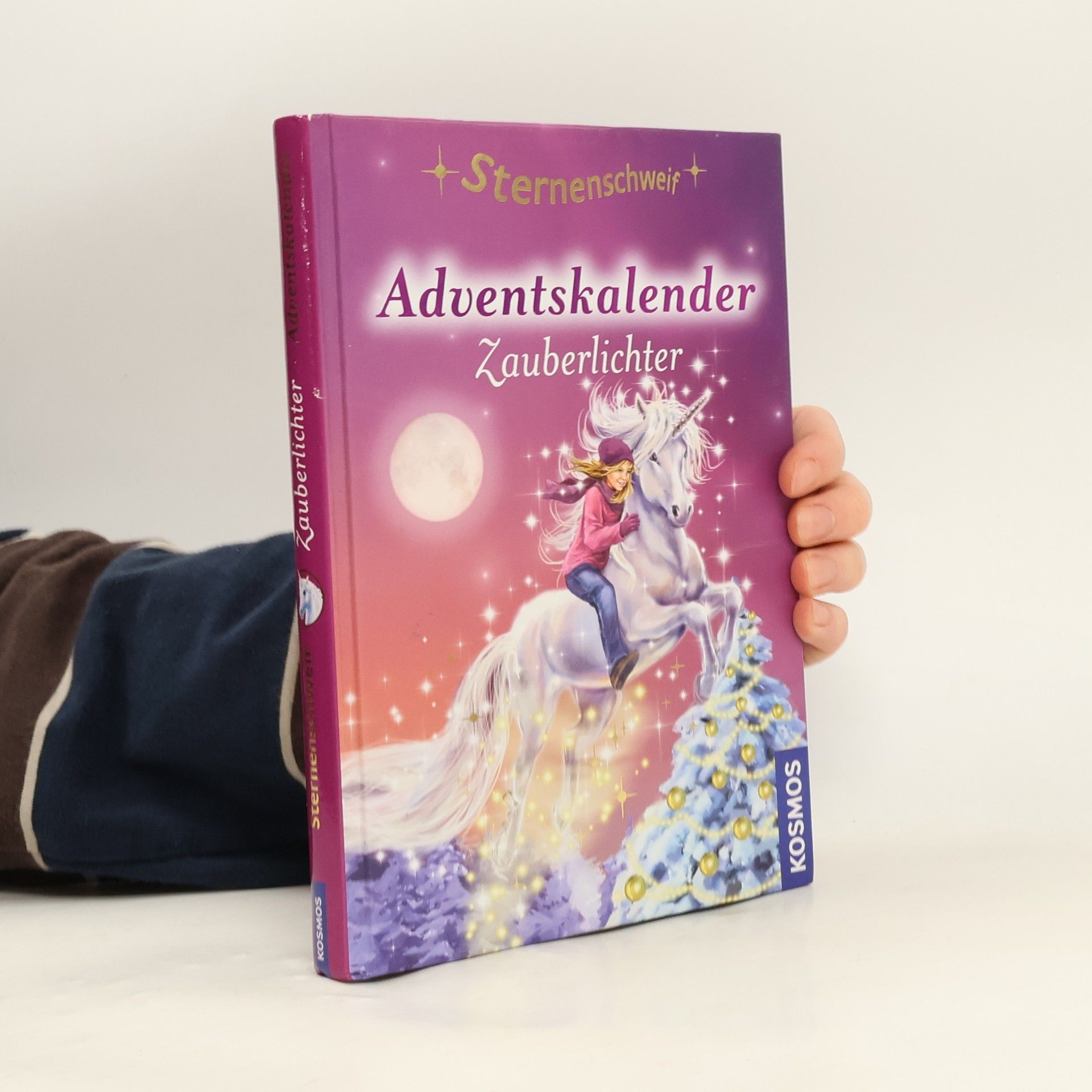 Various authors Adventskalender. Zauberlichter