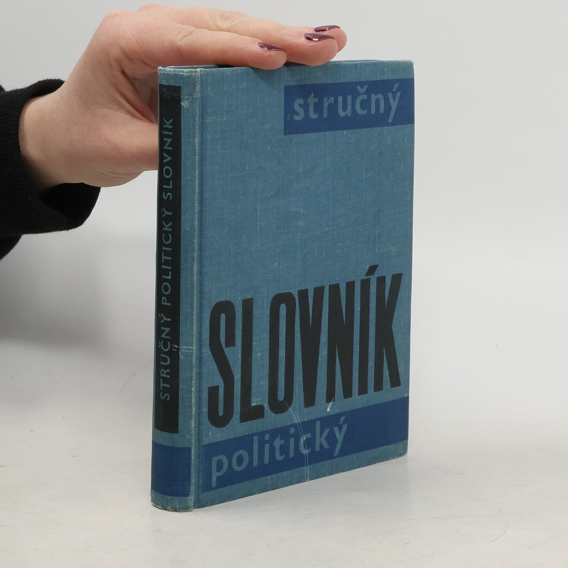 AA.VV. Stručný slovník politický