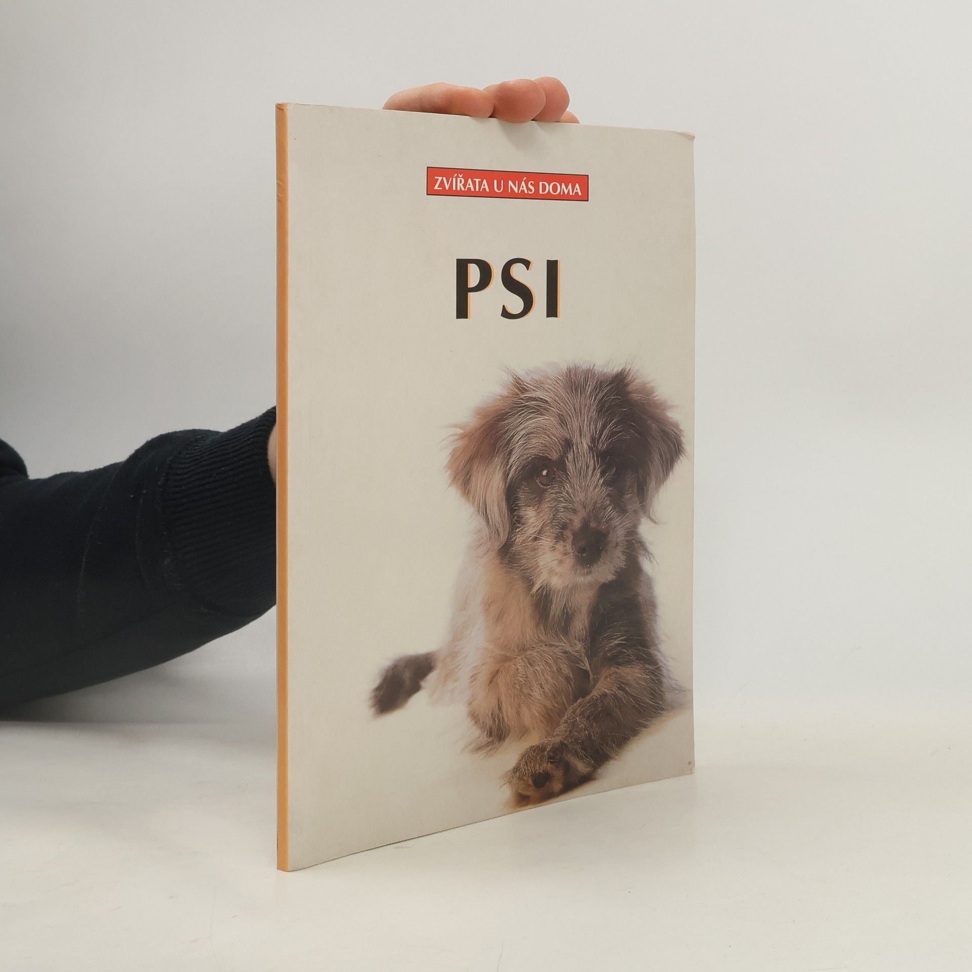 Dagmar Schratter Psi