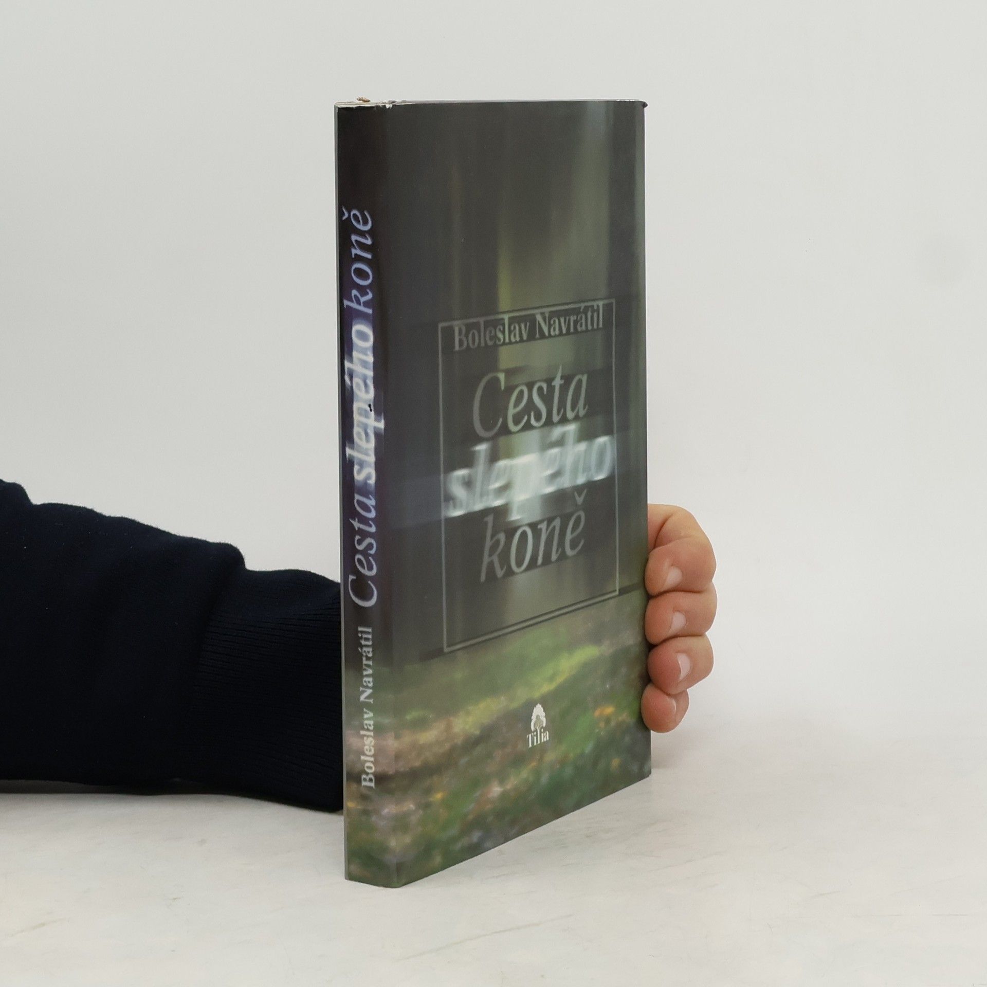 Cesta slepého koně