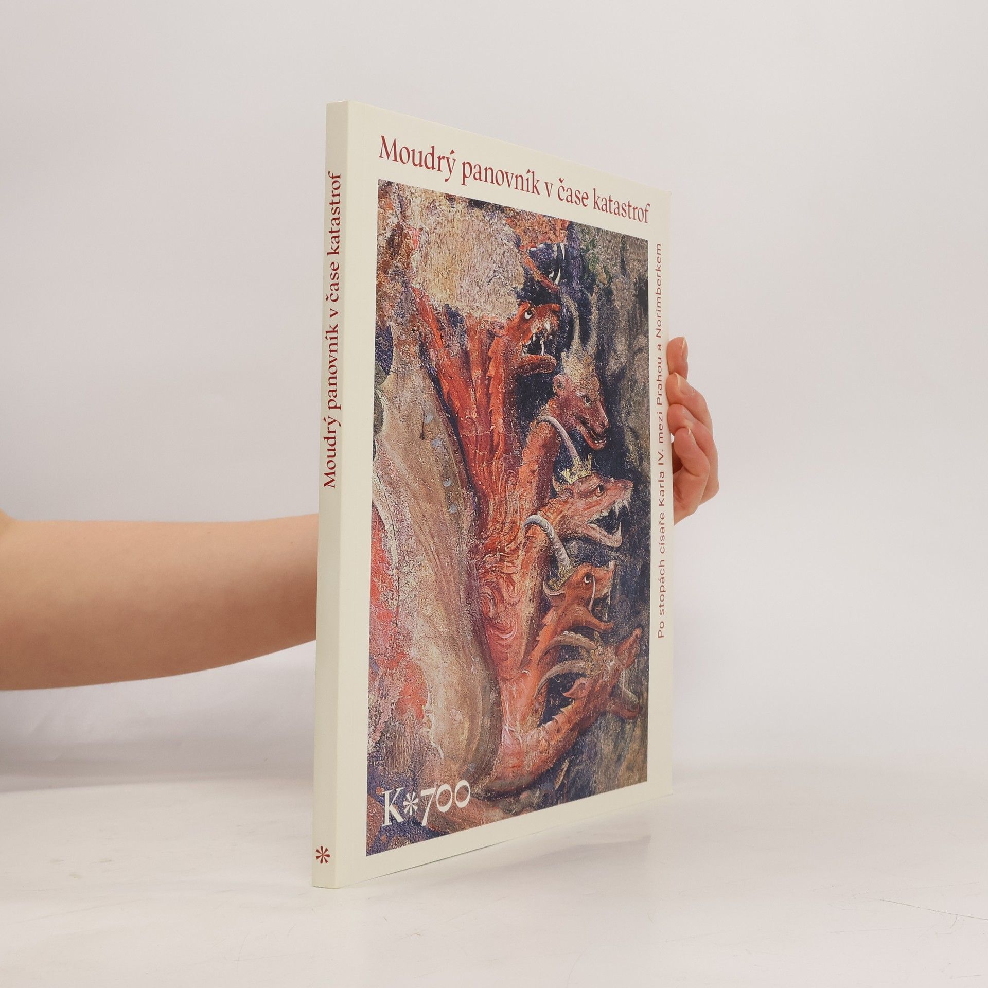 Jiří Fajt Moudrý panovník v čase katastrof: Po stopách císaře Karla IV. mezi Prahou a Norimberkem