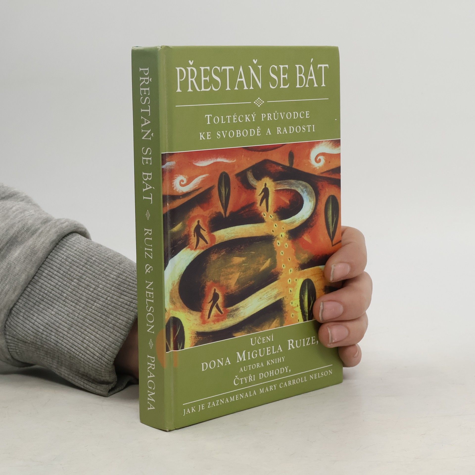 Mary Carroll Nelson Přestaň se bát