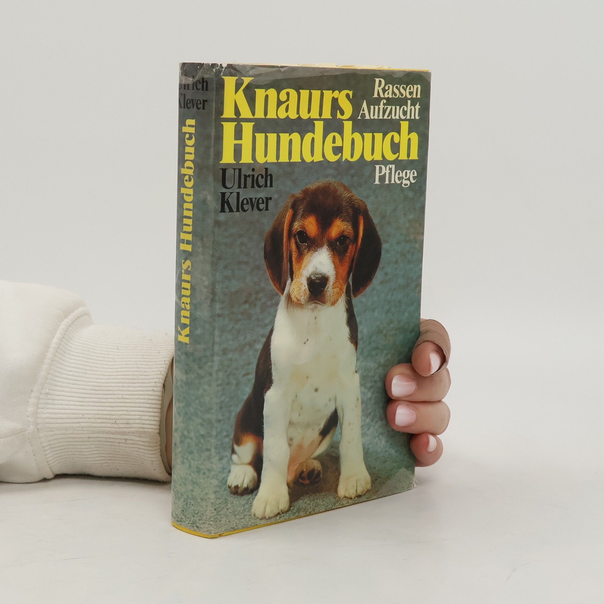 Kolektív autorov Knaurs Hundebuch