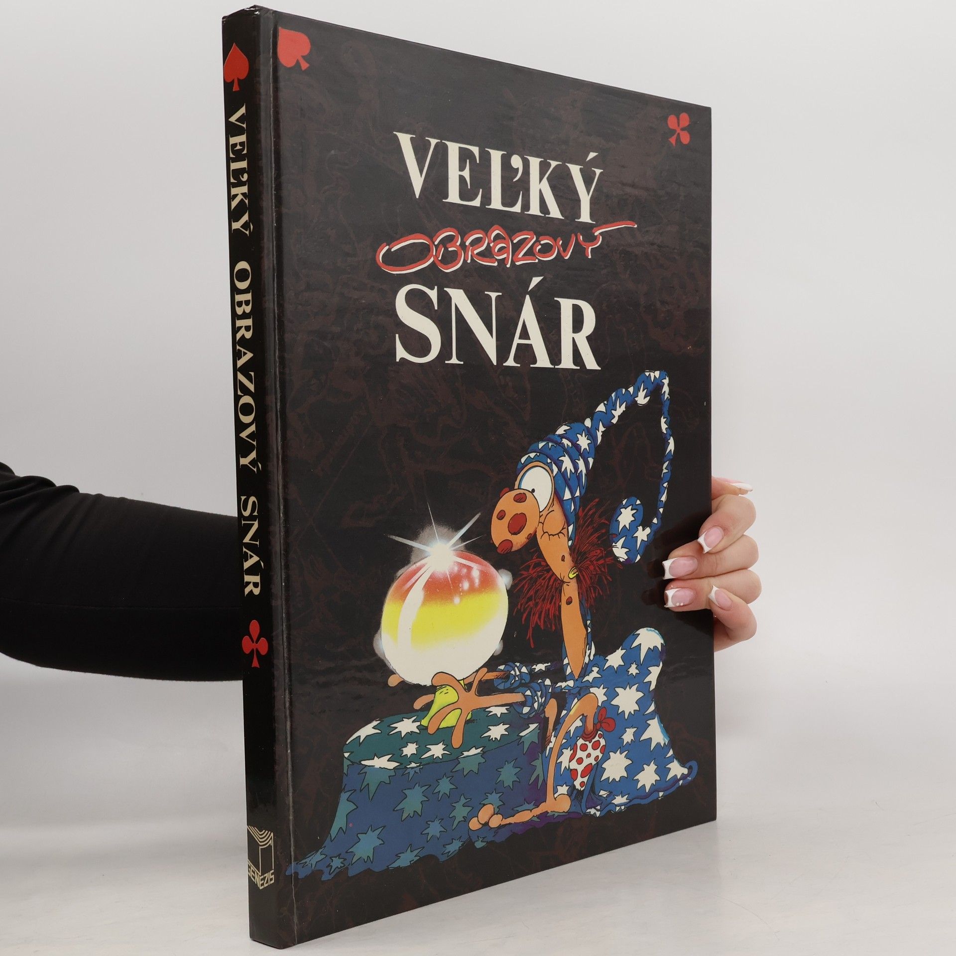 Kolektív autorov Veľký obrazový snár