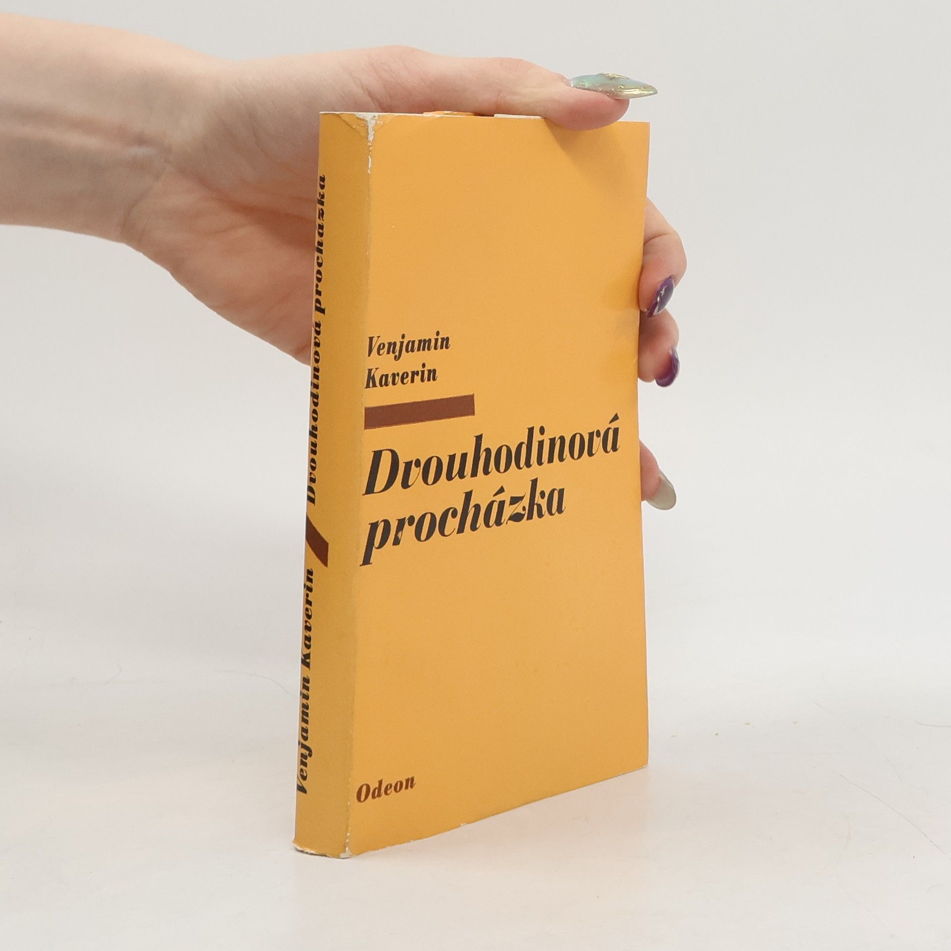 Dvouhodinová procházka