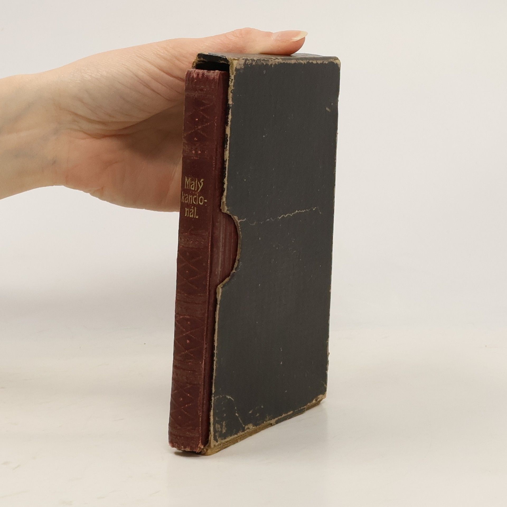 Various authors Malý kancionál čili Sbírka posvátných zpěvův a modliteb pro mládež katolickou arcidiecese Olomoucké