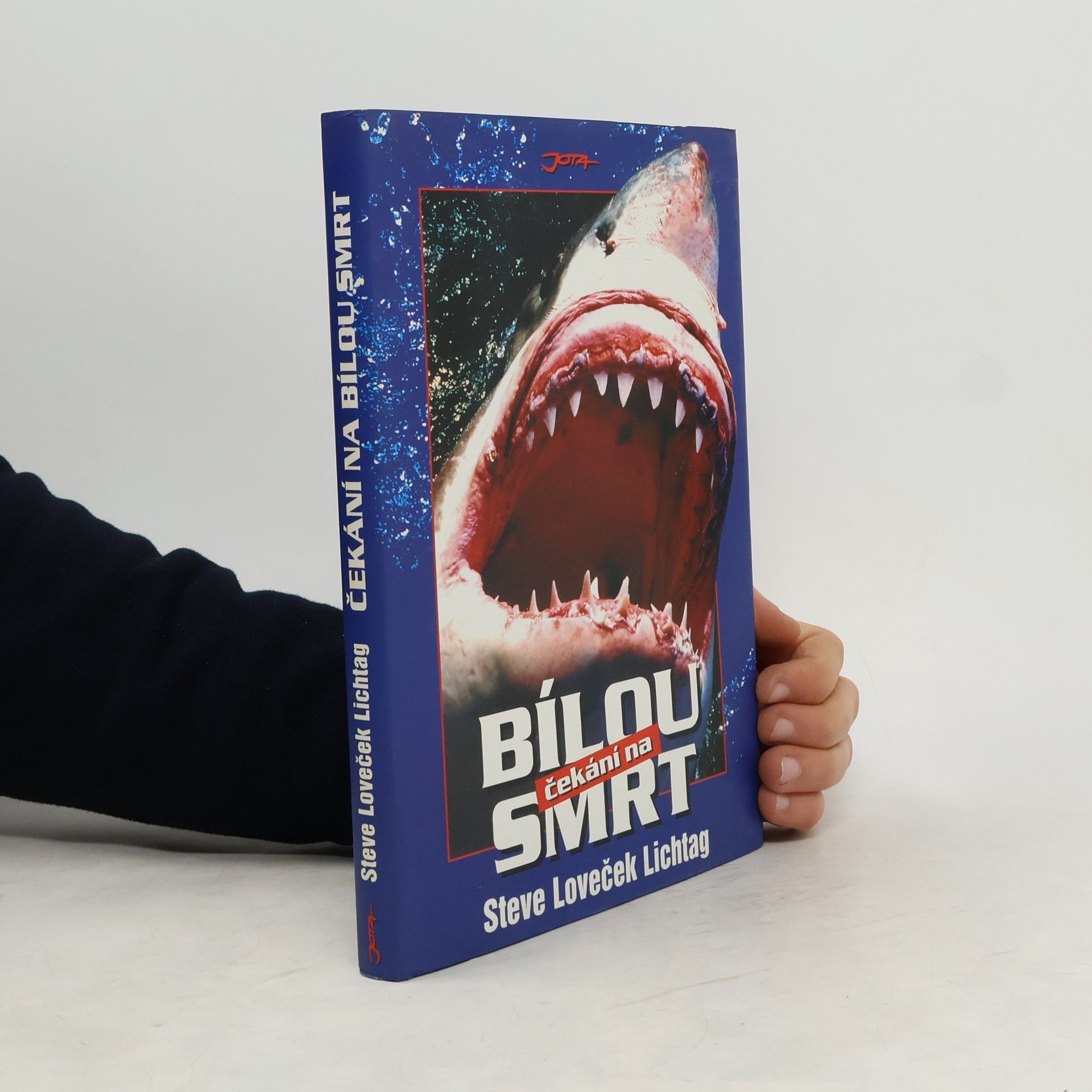 Steve Lichtag Čekání na bílou smrt