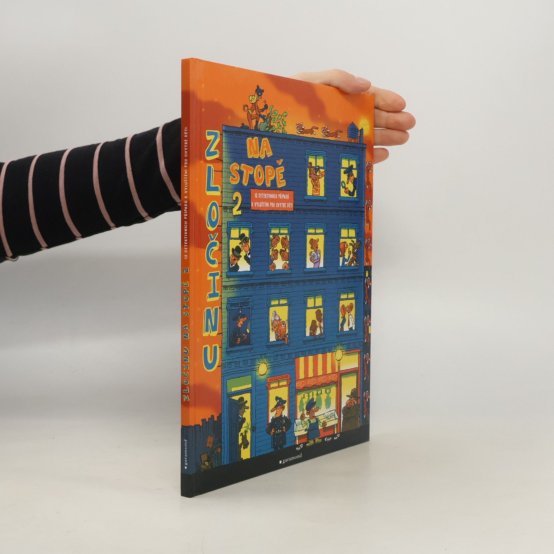 Na stopě zločinu 2