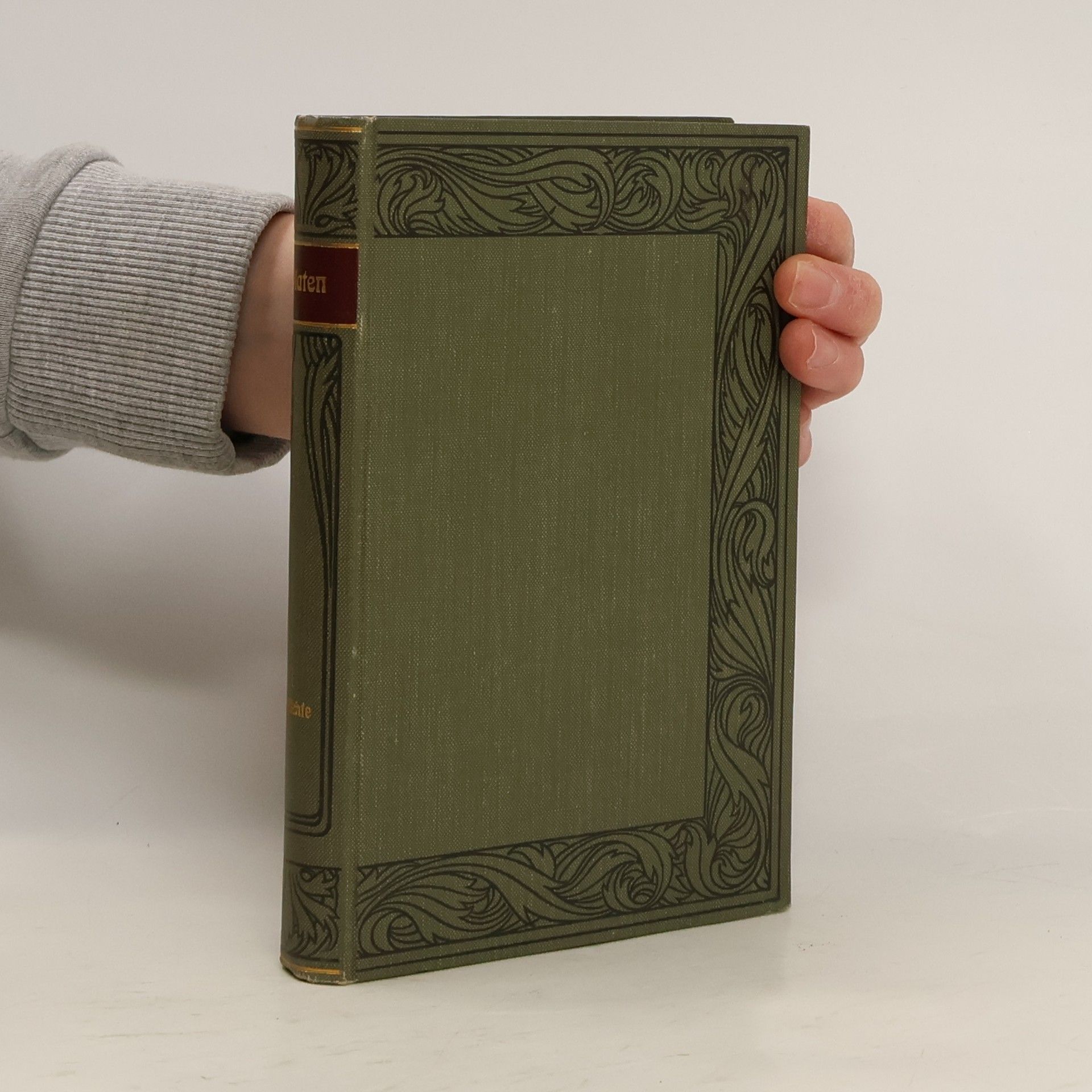 August Platen Platens Werke. Band 1