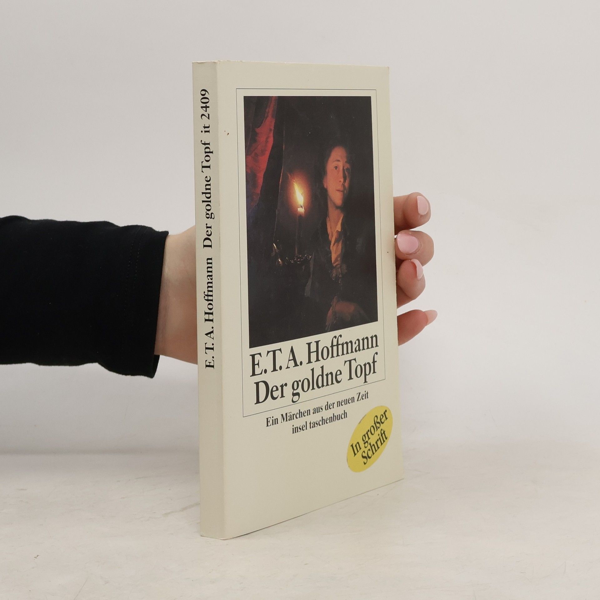 Ernst T. A. Hoffmann Insel Taschenbuch: Der goldne Topf