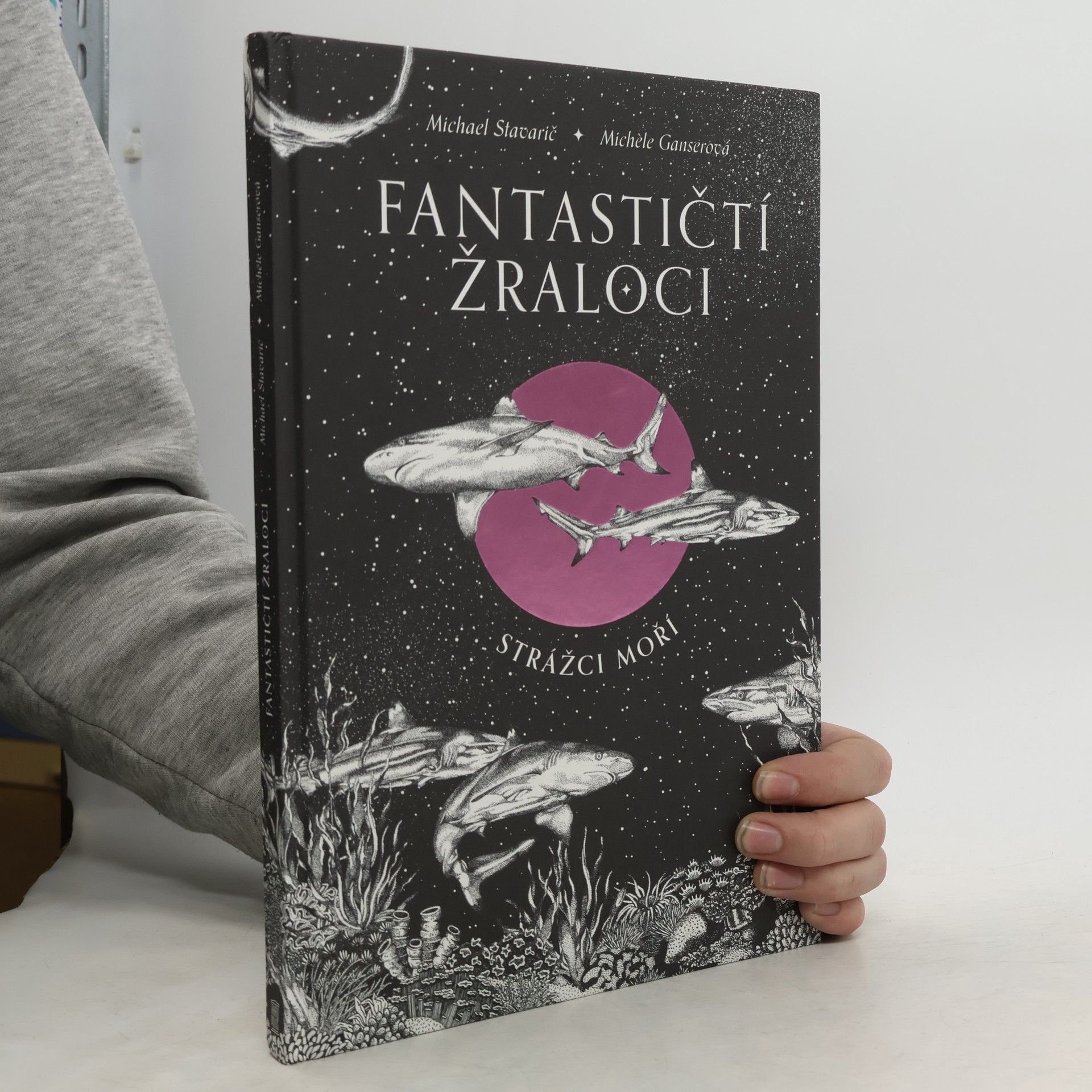 Fantastičtí žraloci