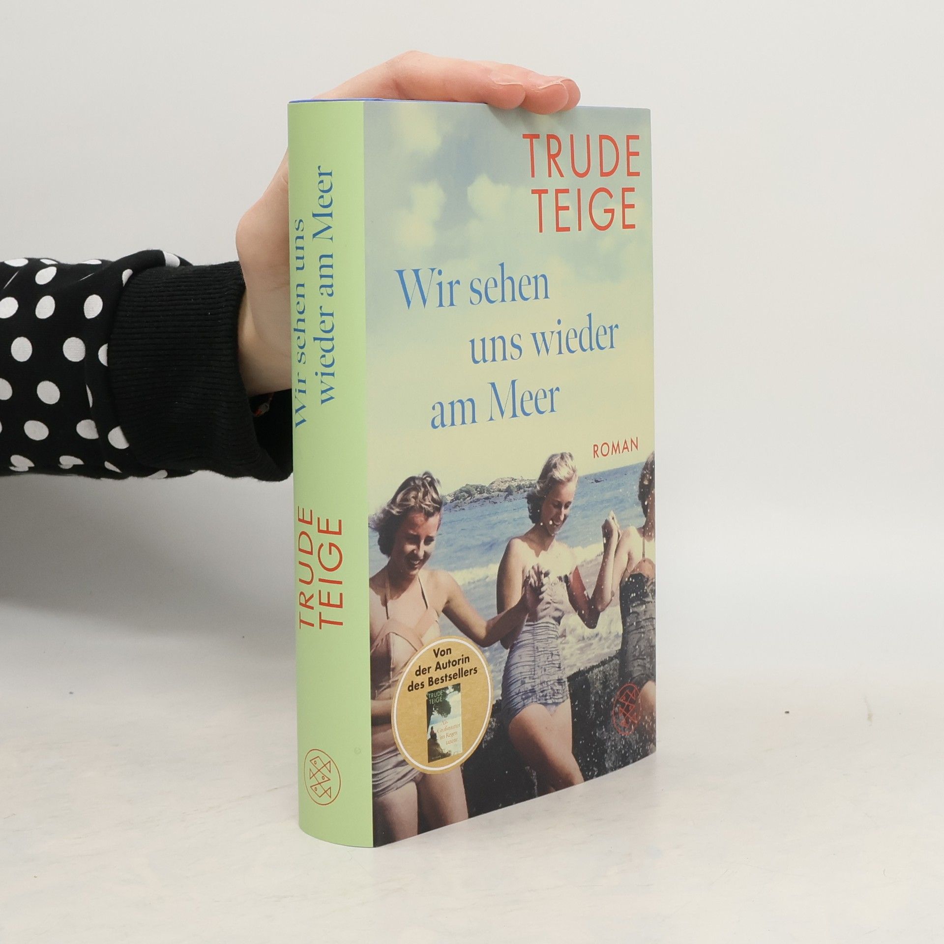Trude Teige Wir sehen uns wieder am Meer