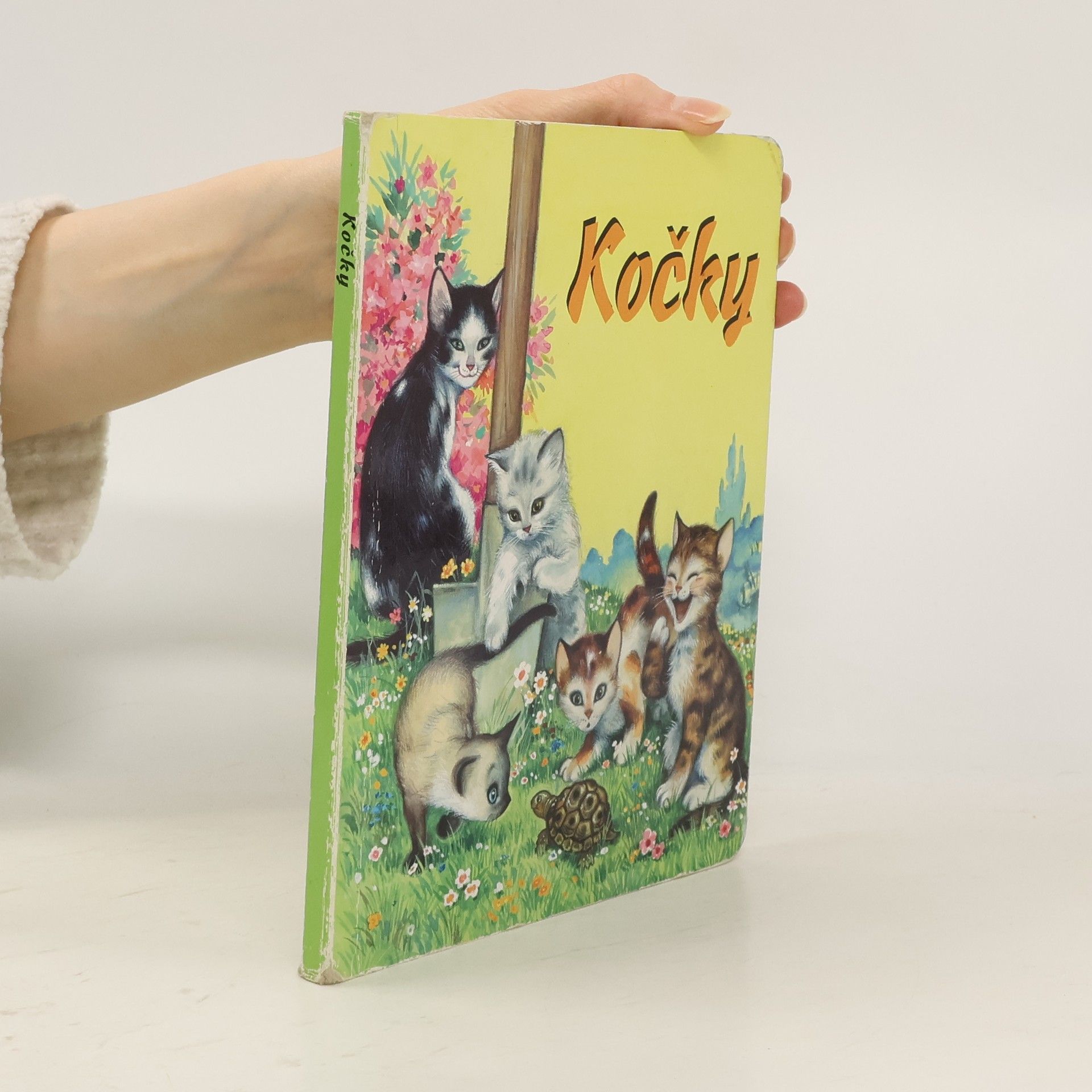 Autorenkollektiv Kočky