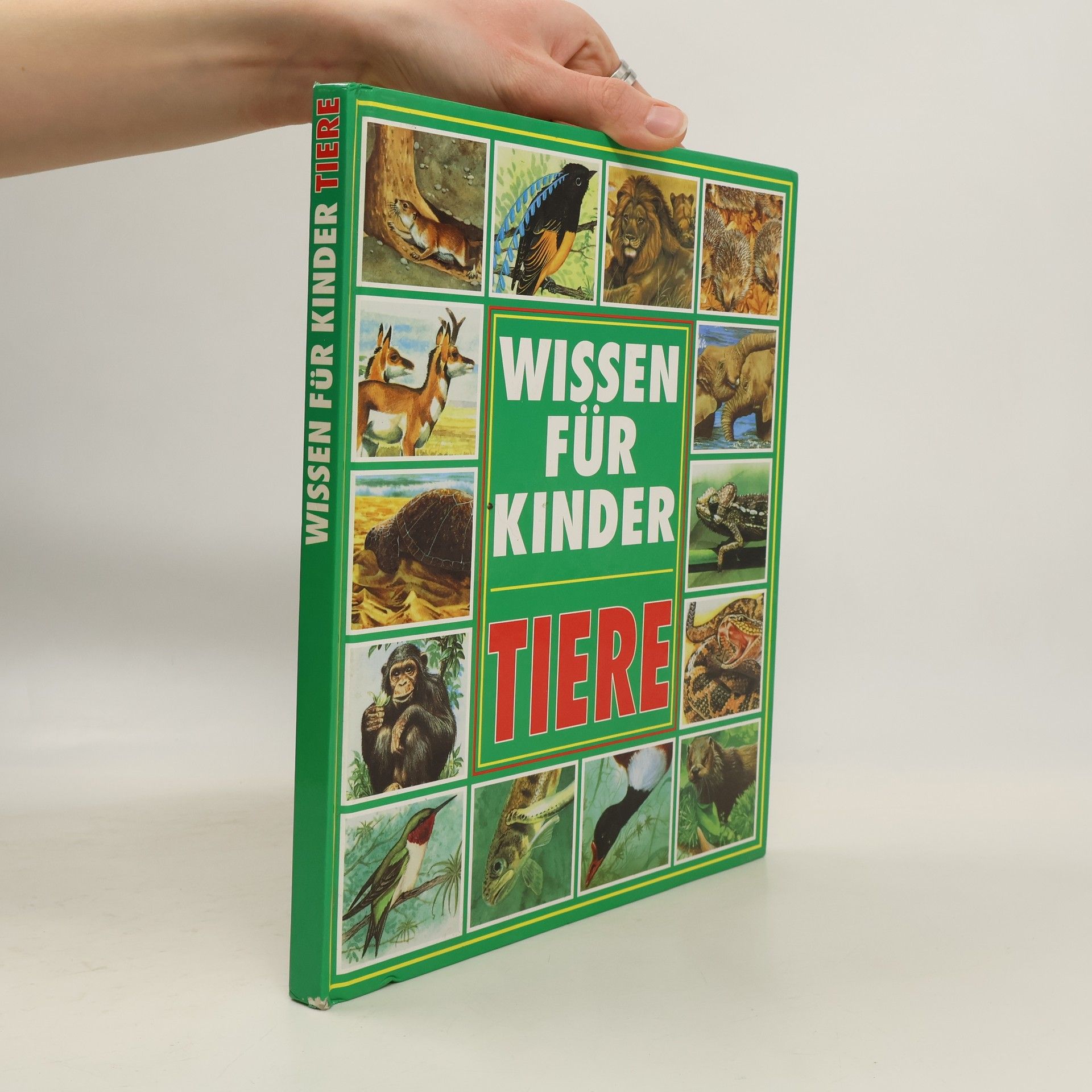 Michele Stable Tiere. Wissen für Kinder