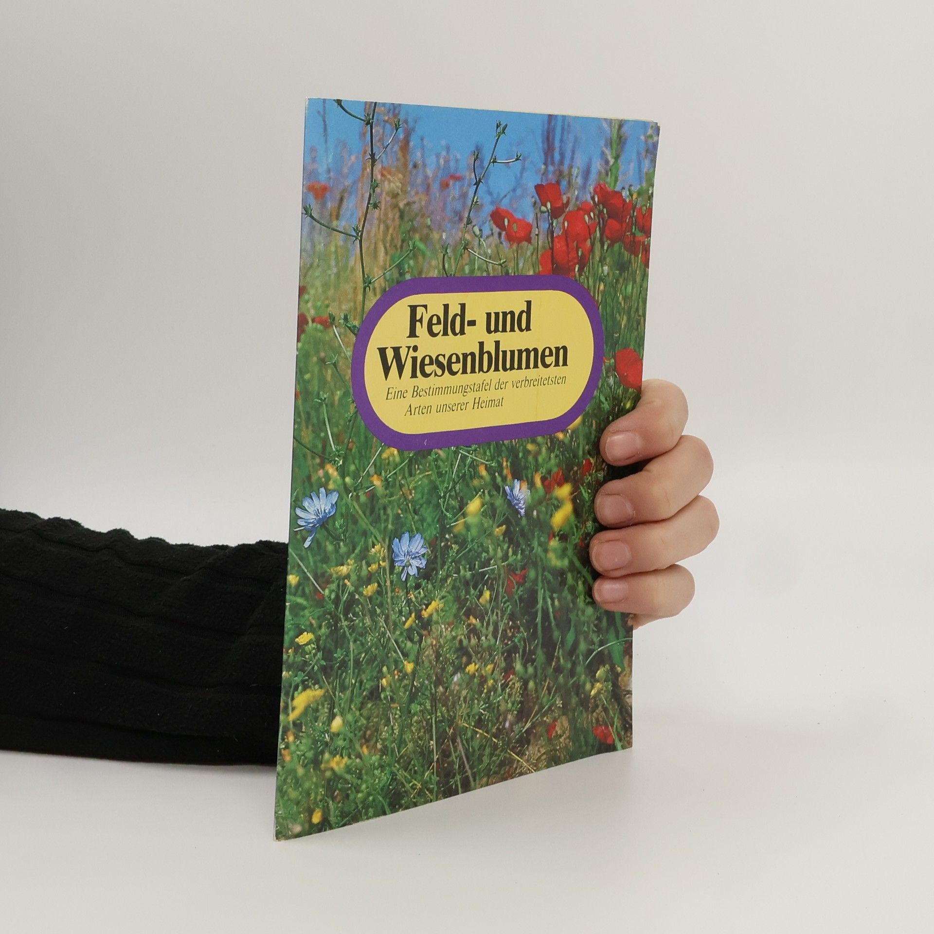 Autorenkollektiv Feld- und Wiesenblumen