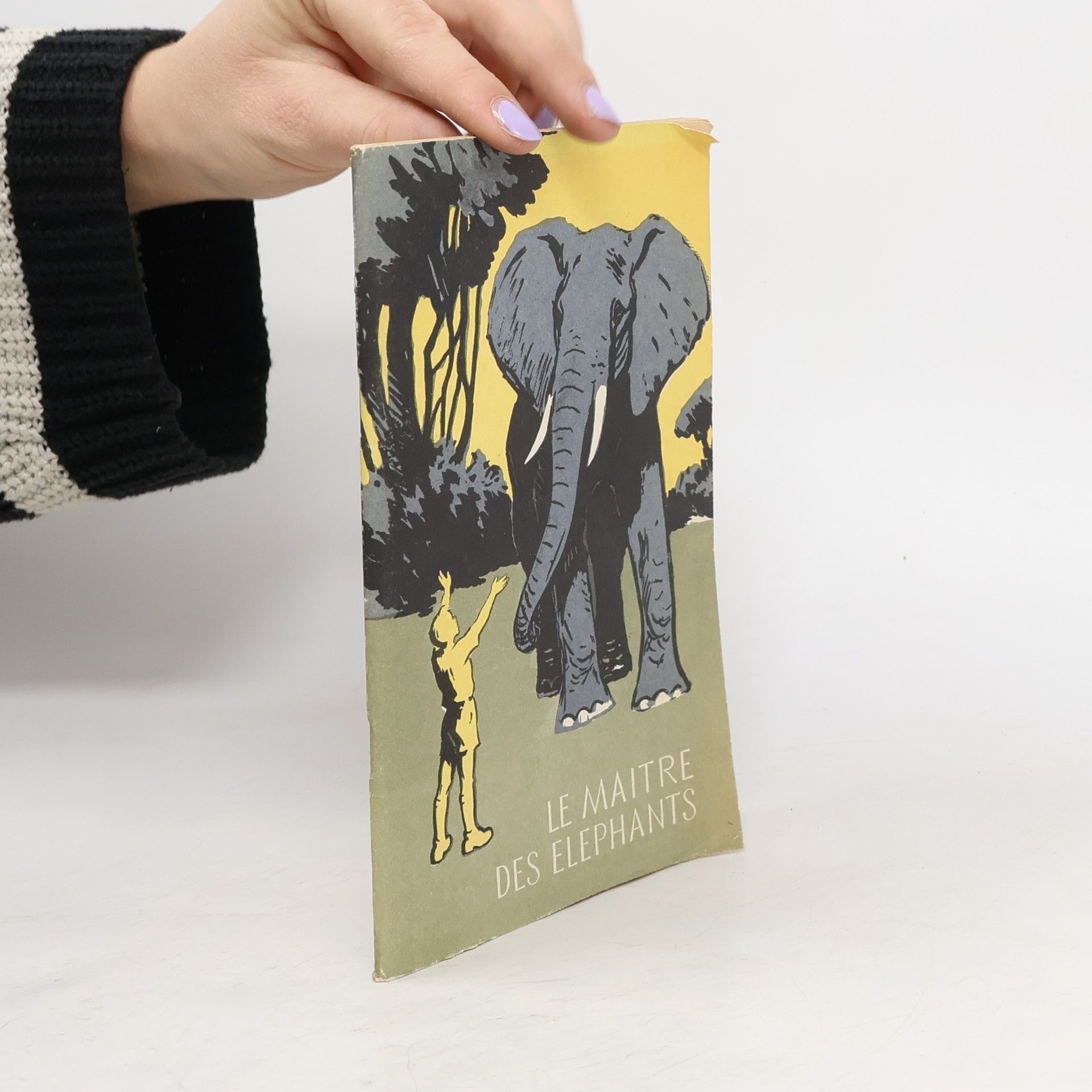 Collectif d'auteurs Le Maitre Des Elephants