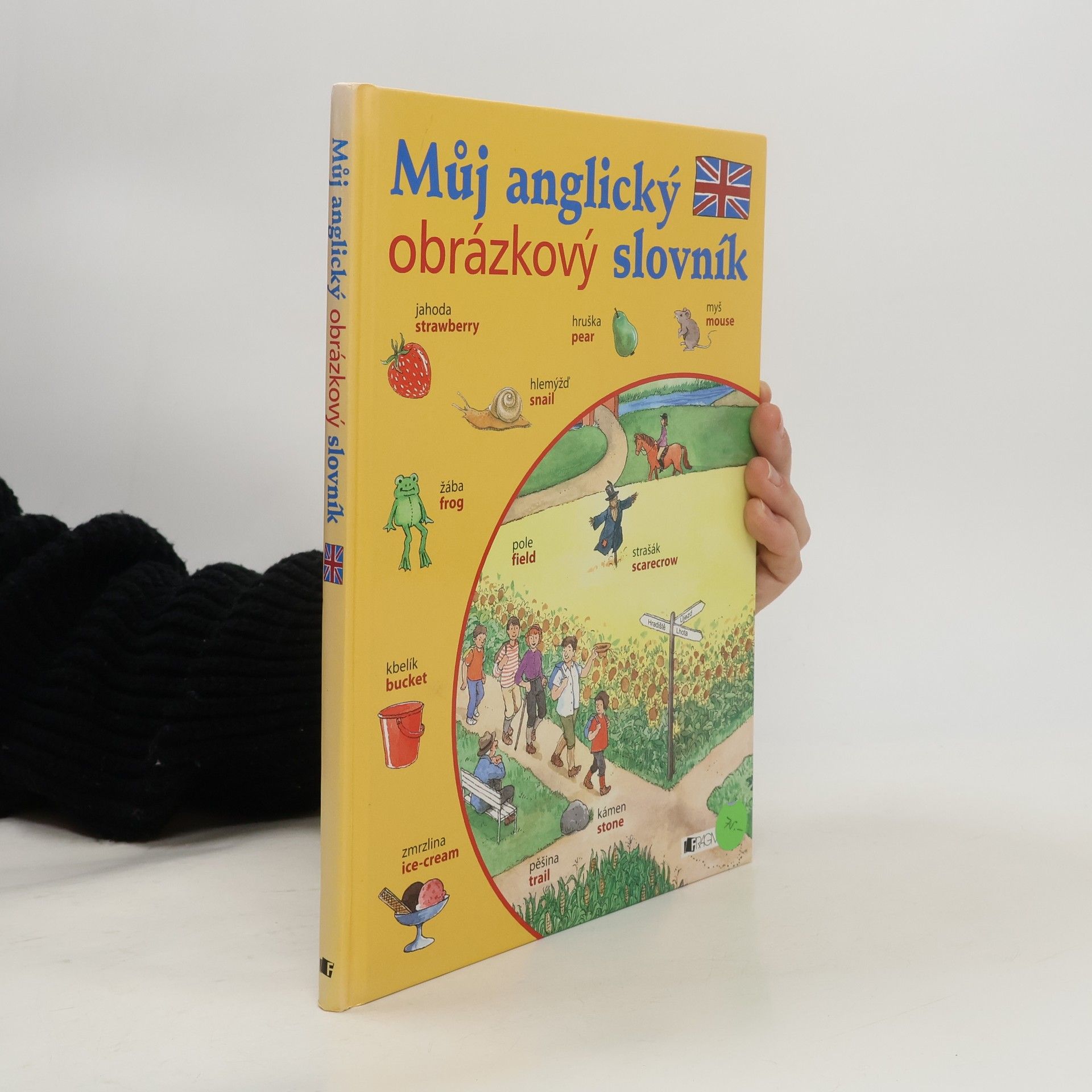 Kolektív autorov Můj anglický obrázkový slovník
