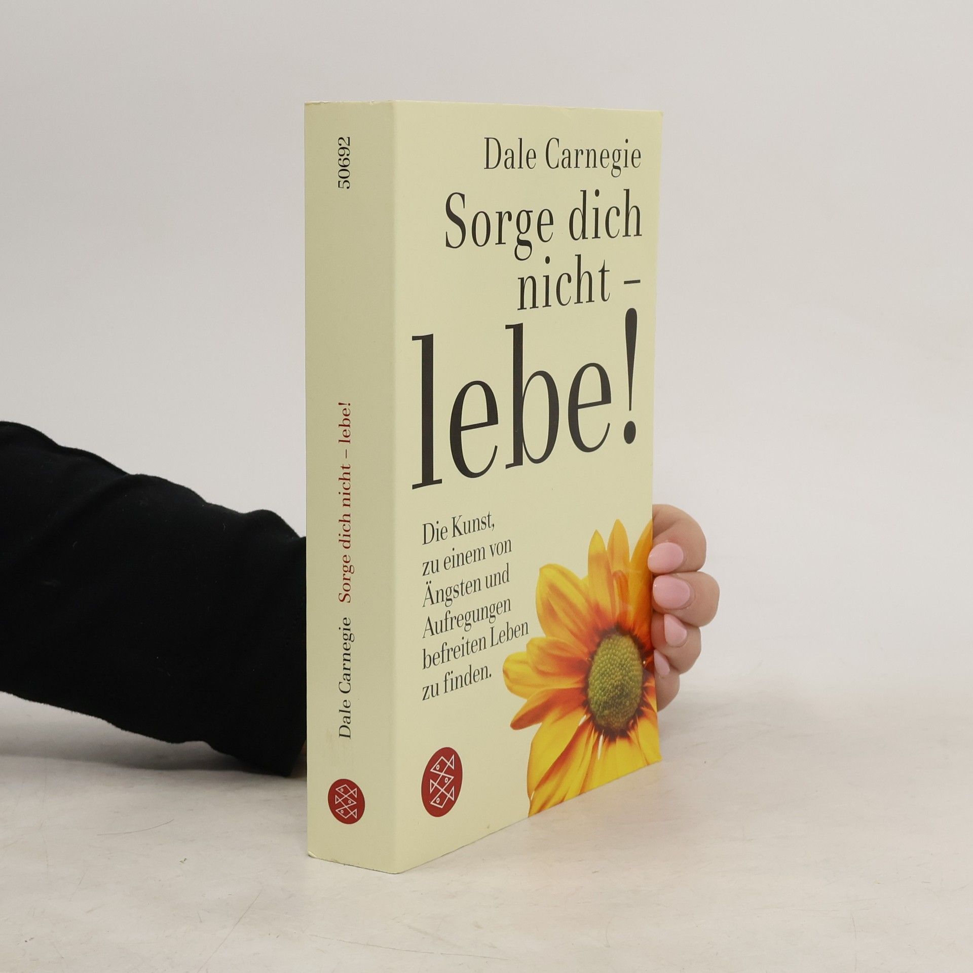 Dale Carnegie Sorge dich nicht - lebe!