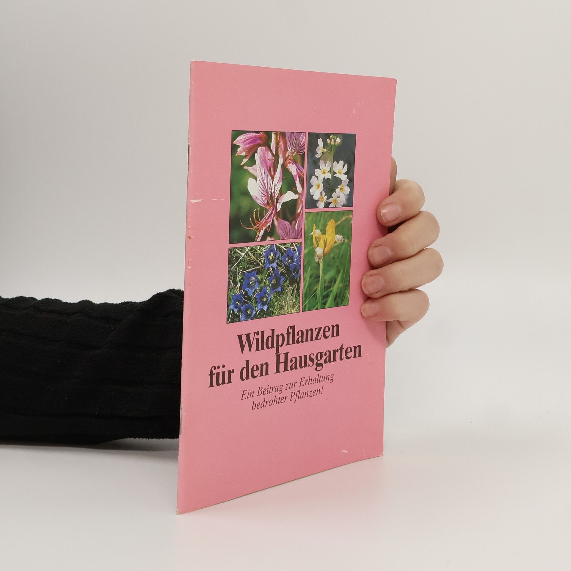 Autorenkollektiv Wildpflanzen für den Hausgarten