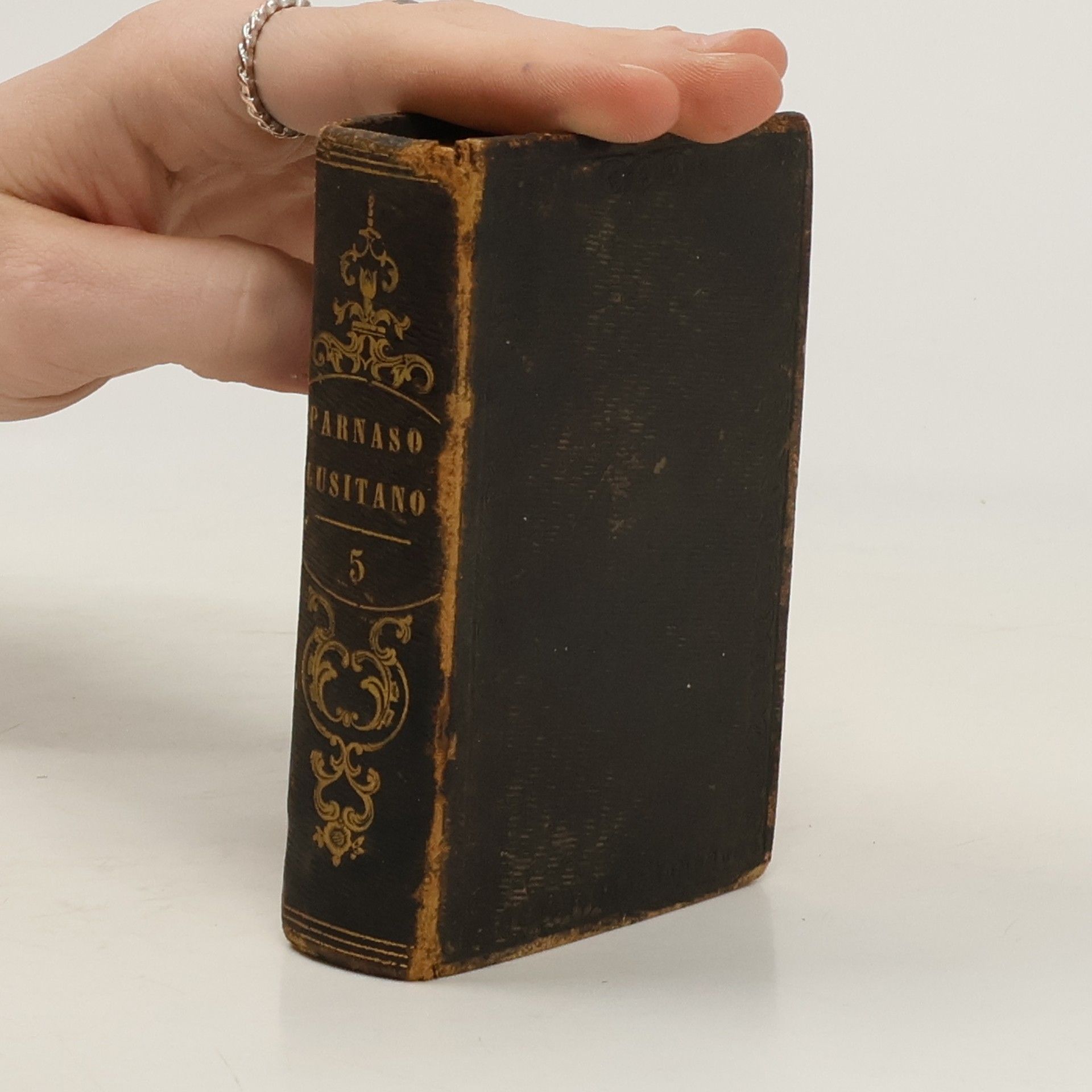 Autorenkollektiv Parnaso Lusitano 5