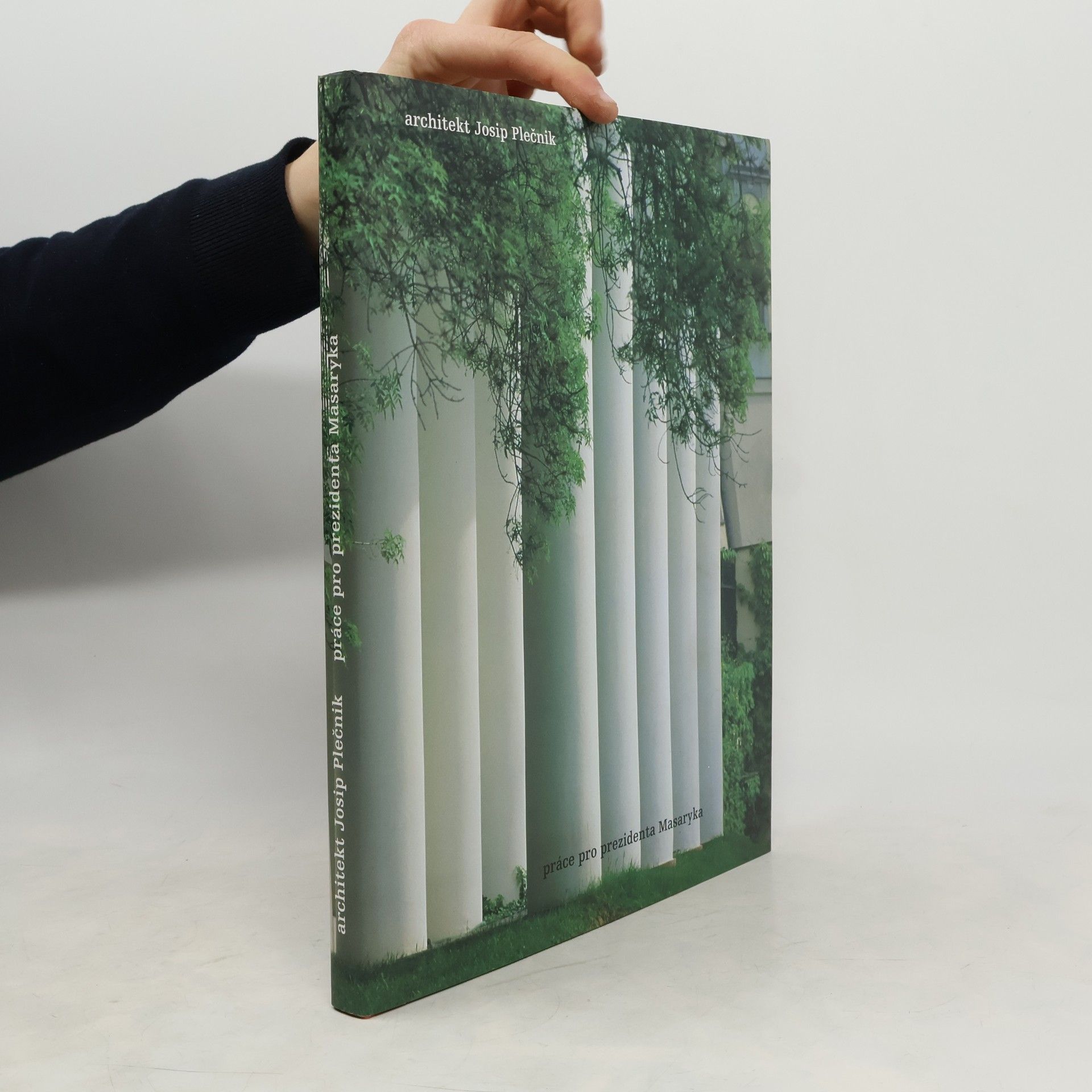 Damjan Prelovšek Architekt Josip Plečnik. Práce pro prezidenta Masaryka