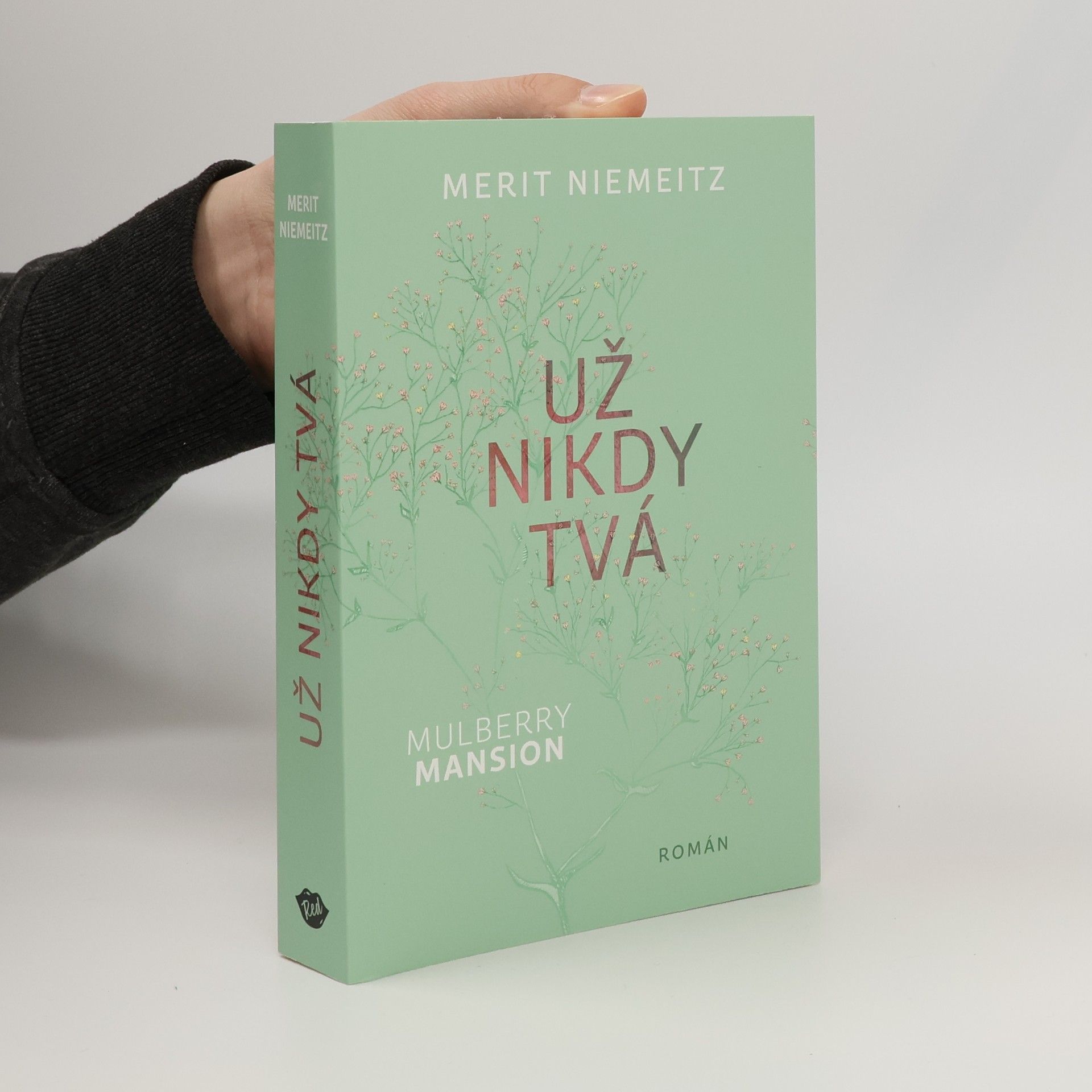 Merit Niemeitz Už nikdy tvá