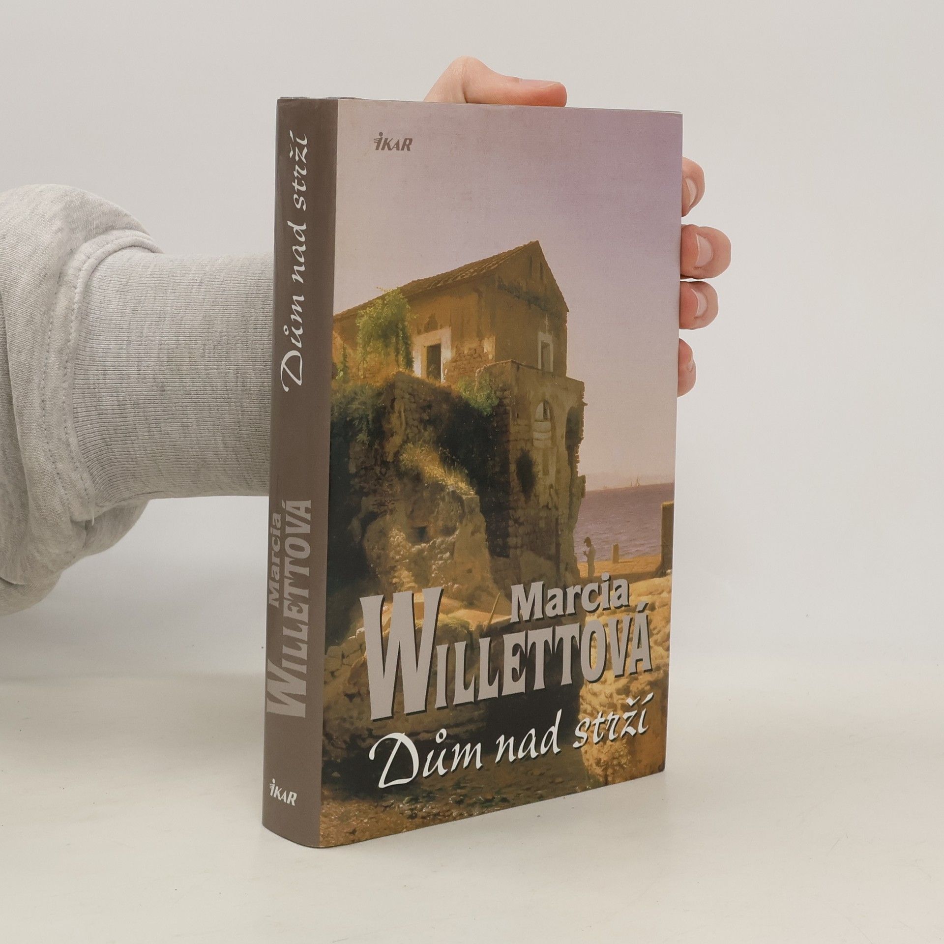 Marcia Willett Dům nad strží