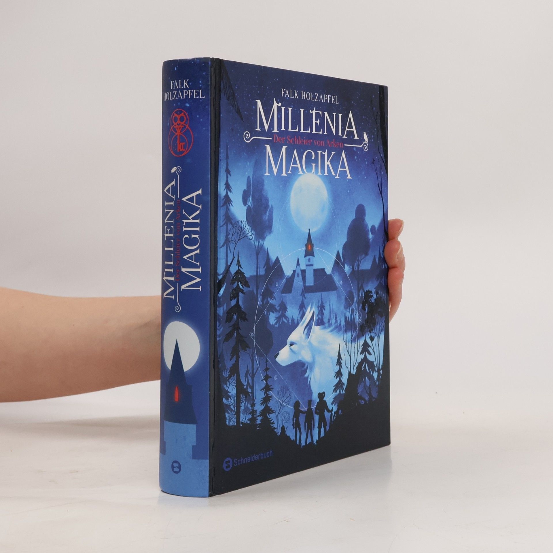 Falk Holzapfel Millenia Magika - Der Schleier von Arken