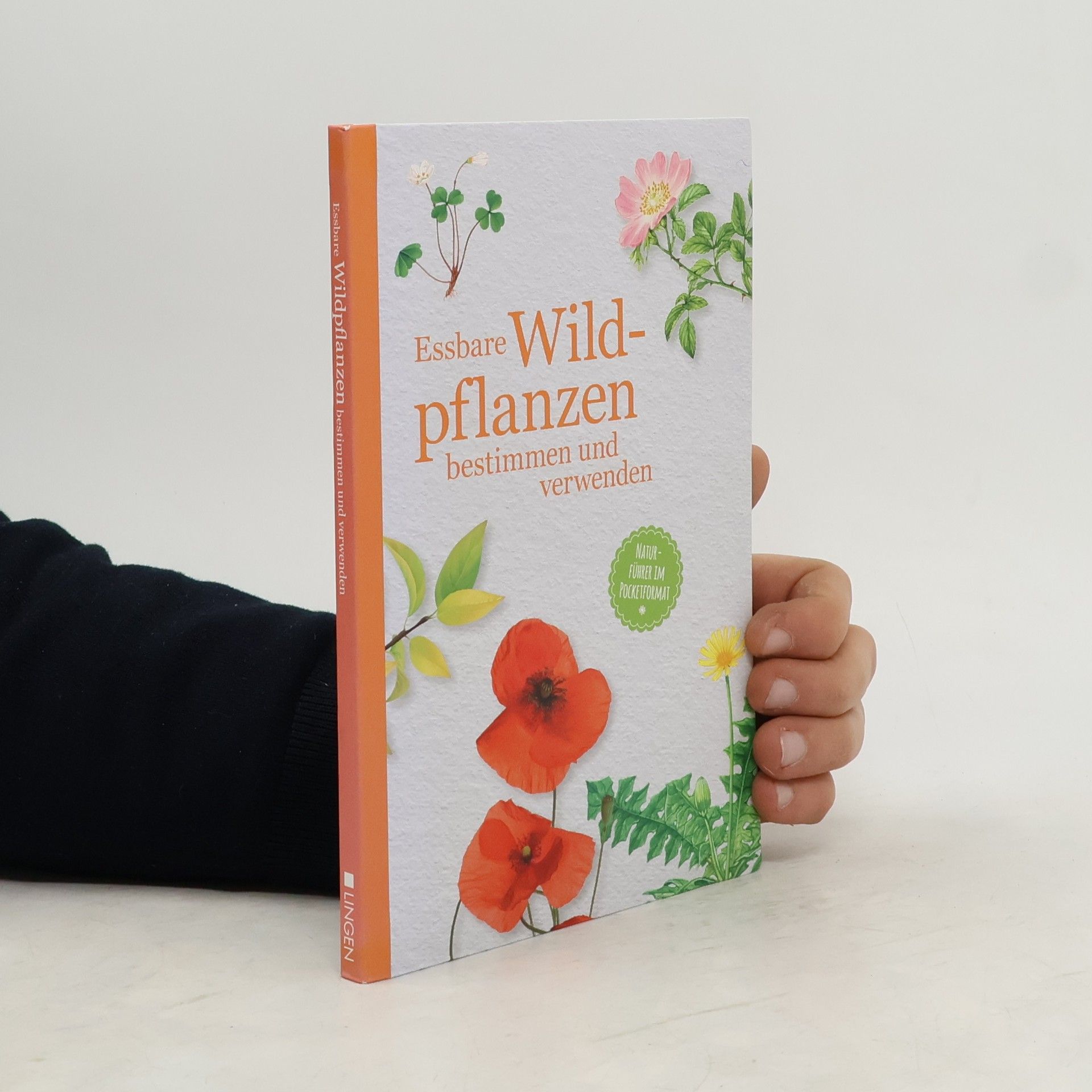 Collectif d'auteurs Essbare Wildpflanzen bestimmen und verwenden