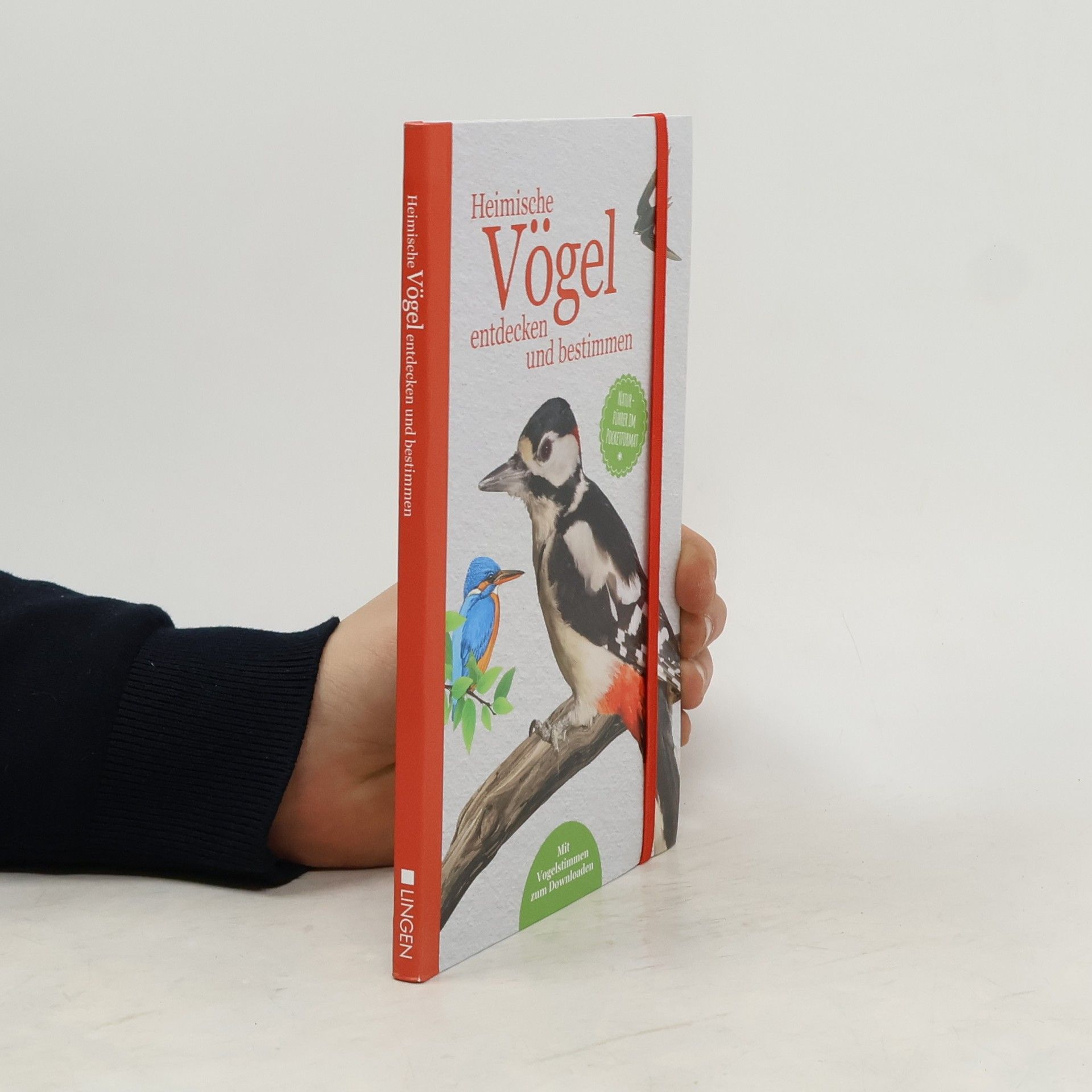 Auteurscollectief Heimische Vögel entdecken und bestimmen