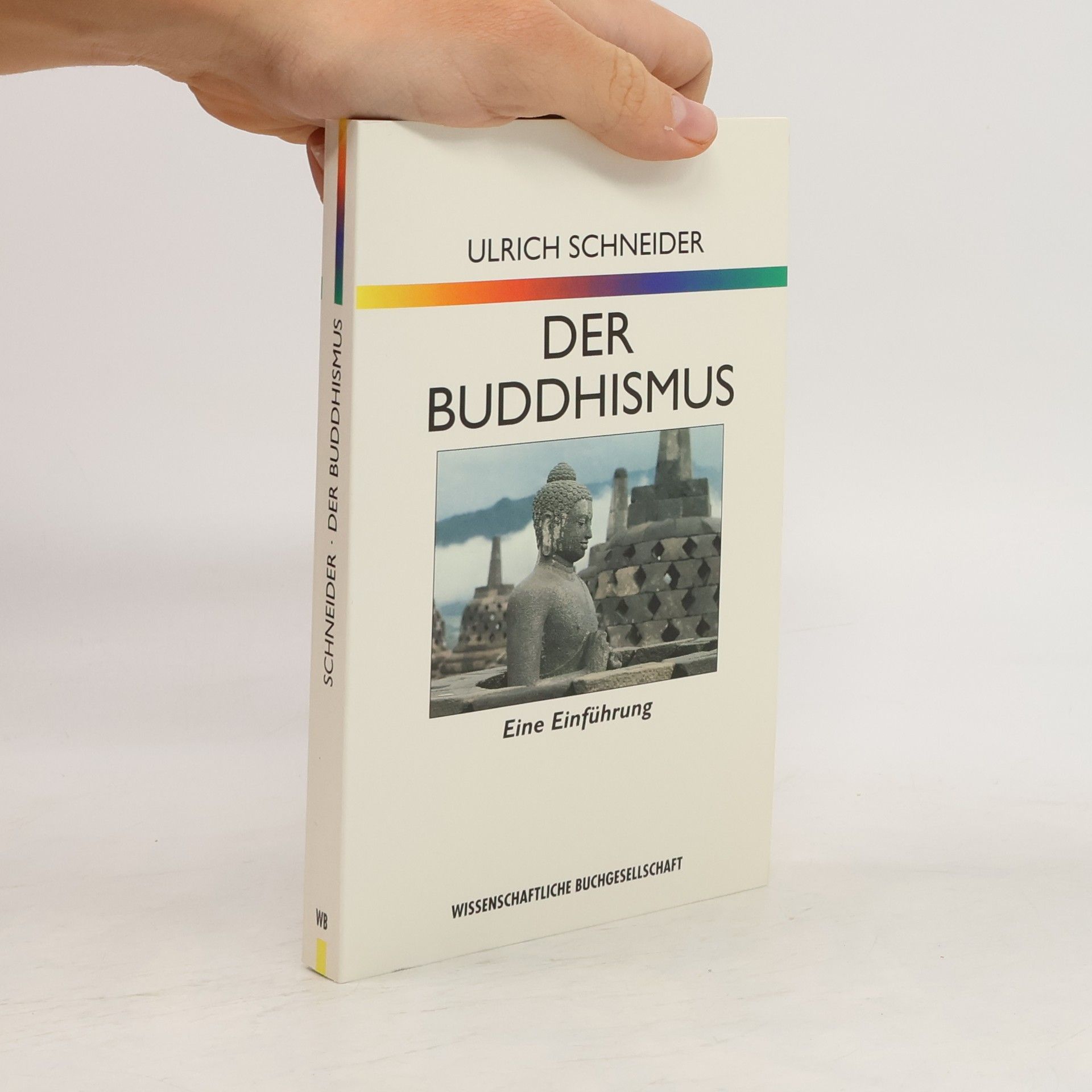 Ulrich Schneider Der Buddhismus
