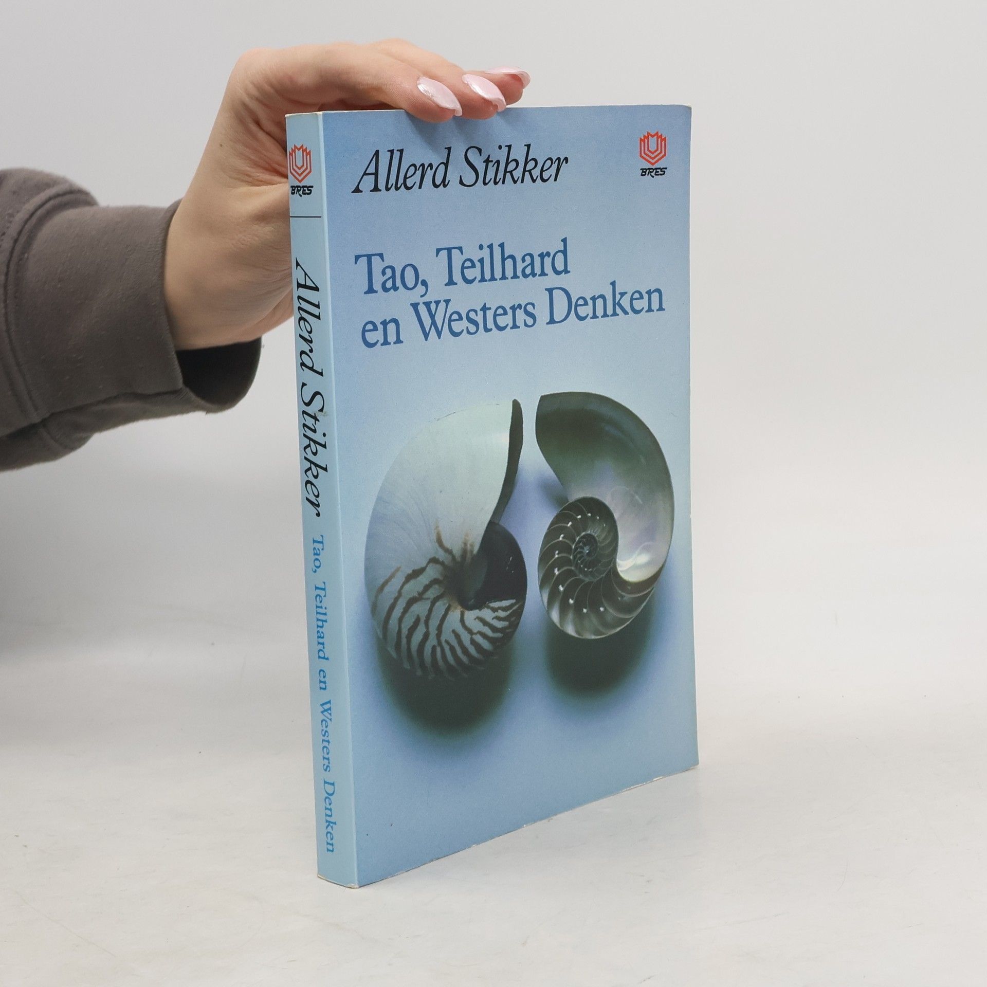 Tao, Teilhard en westers denken