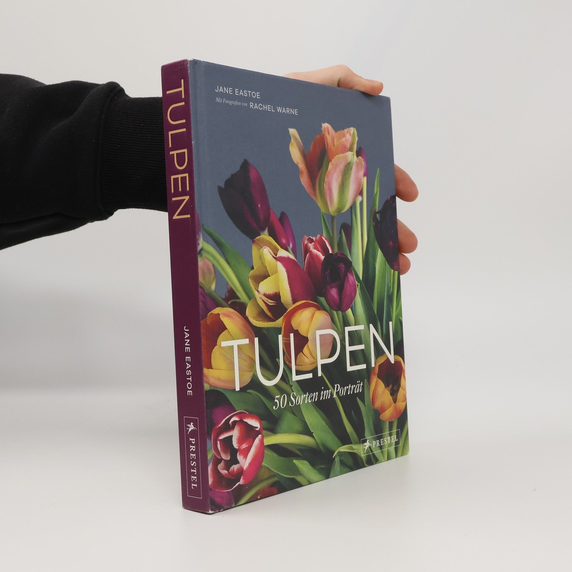 Jane Eastoe Tulpen
