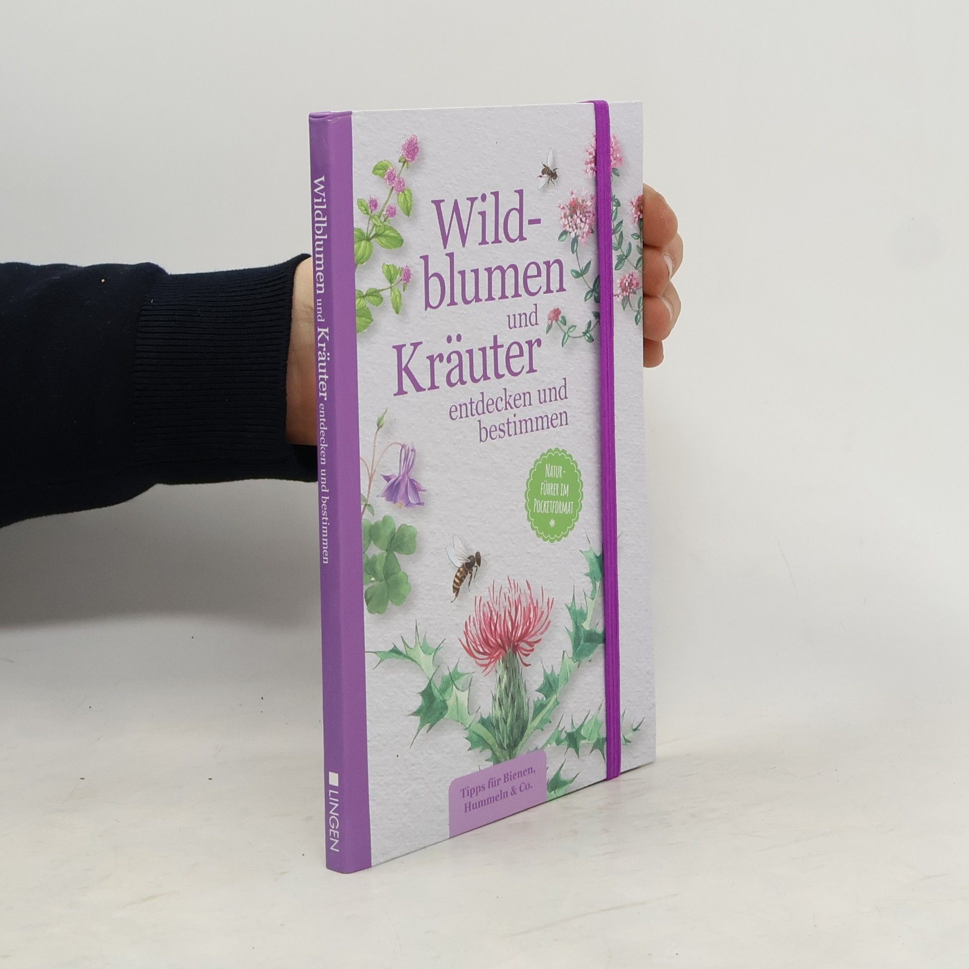 Holger Vornholt Wildblumen und Kräuter. entdecken und bestimmen