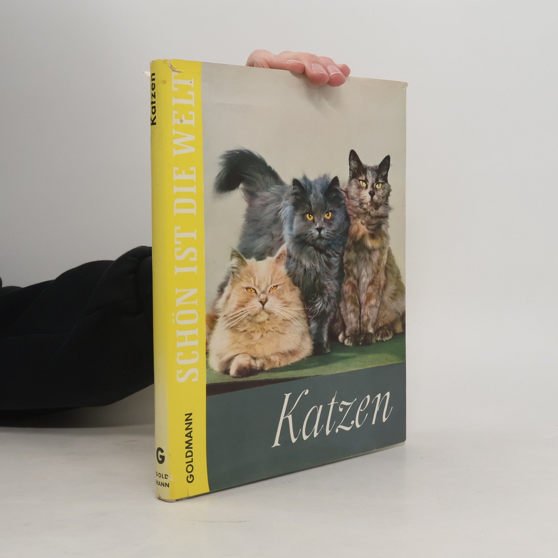 Collectif d'auteurs Katzen