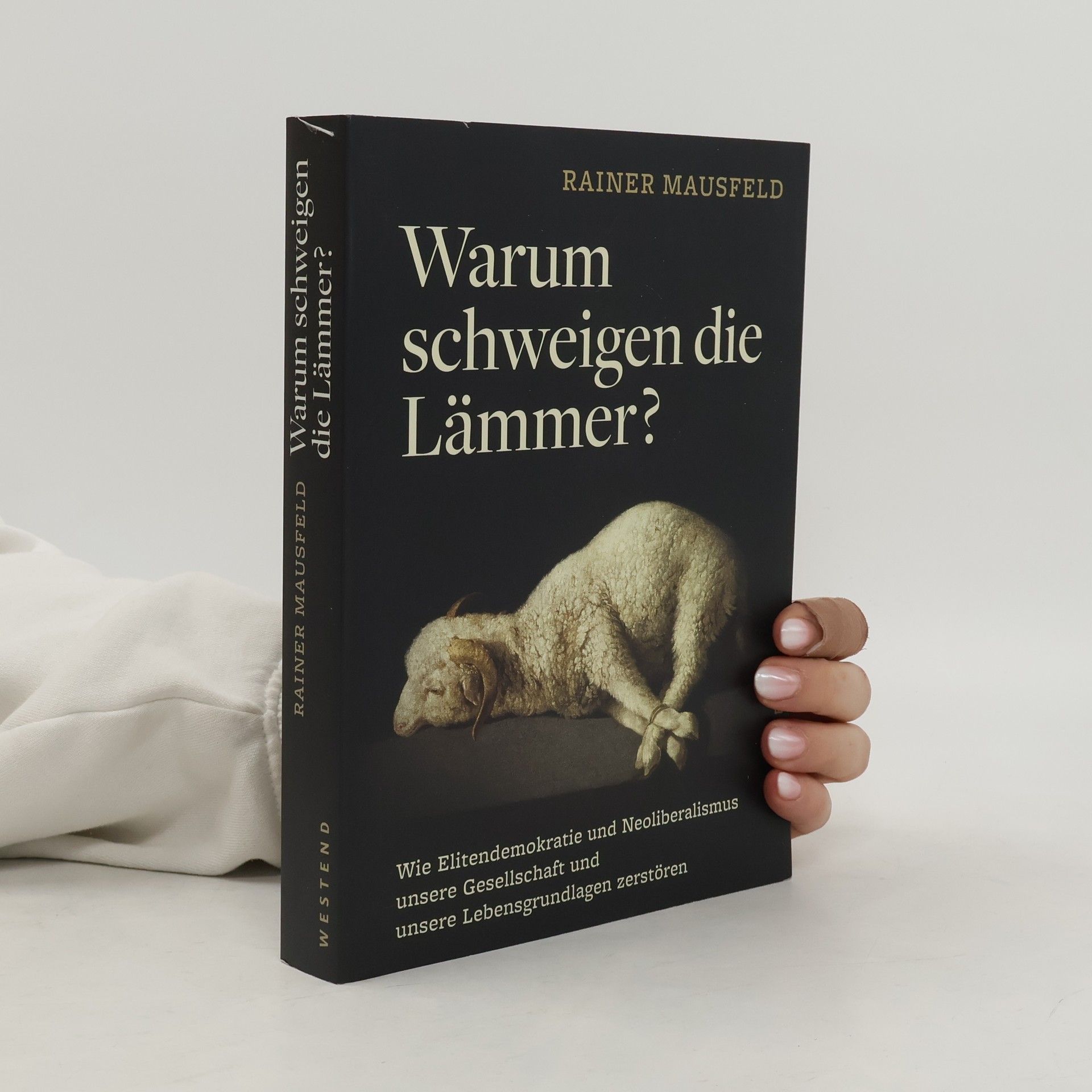 Rainer Mausfeld Warum schweigen die Lämmer?