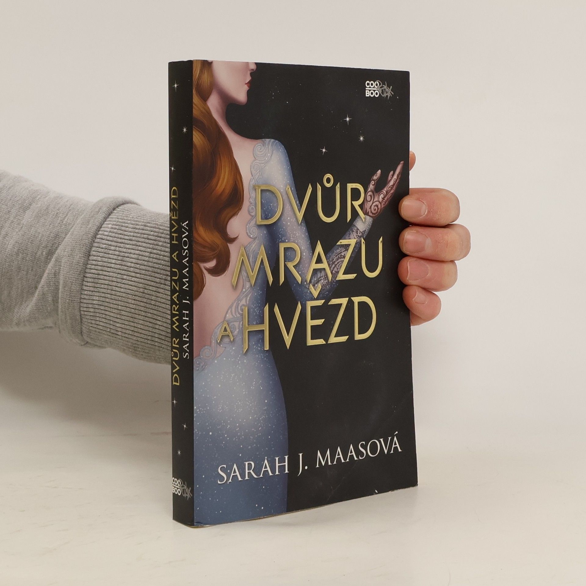 Sarah J. Maas Dvůr mrazu a hvězd