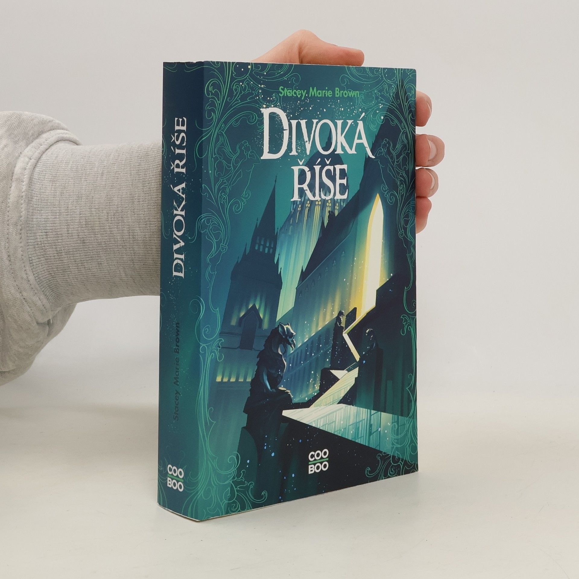 Stacey Marie Brown Divoká říše