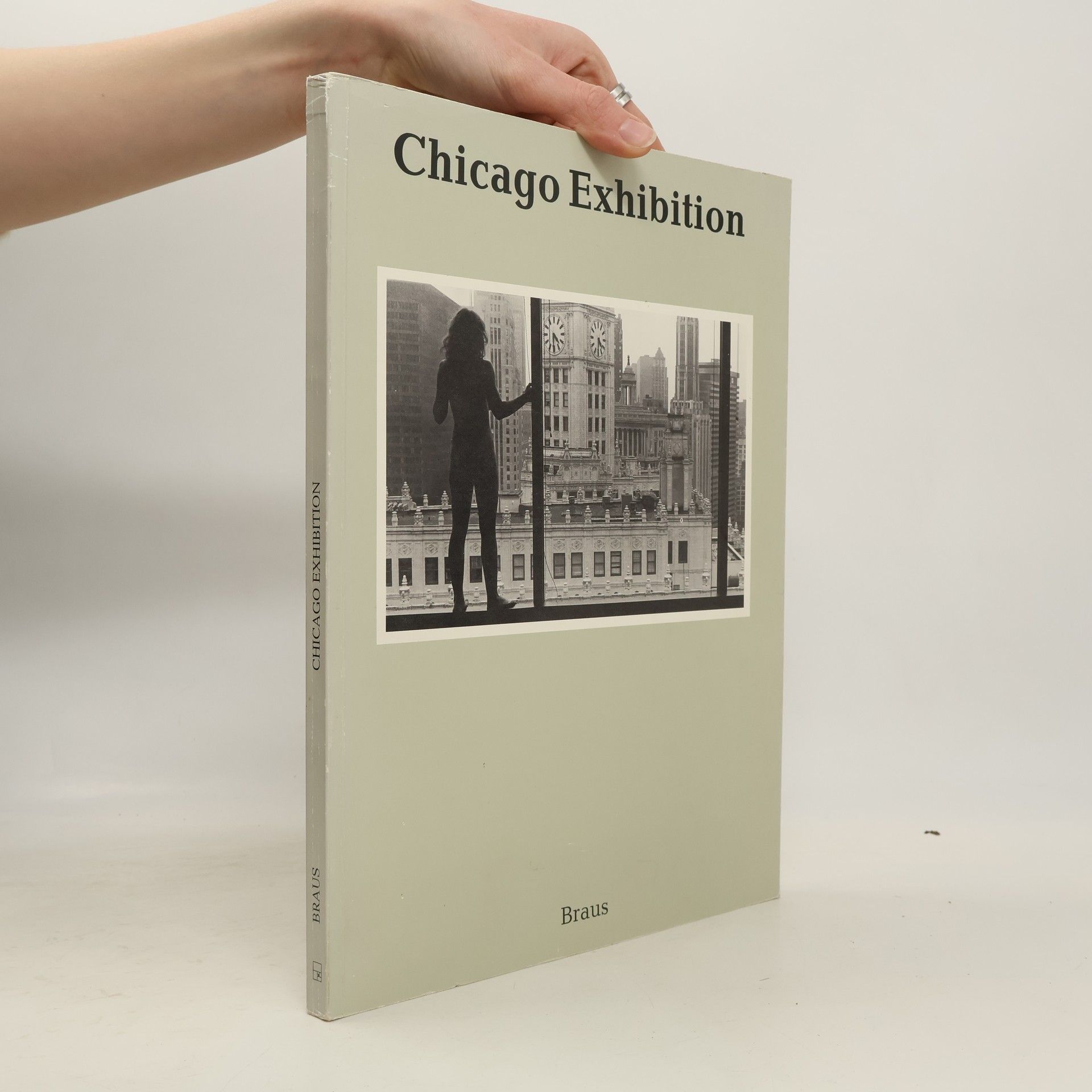 Michele Fitzsimmons The Chicago exhibition