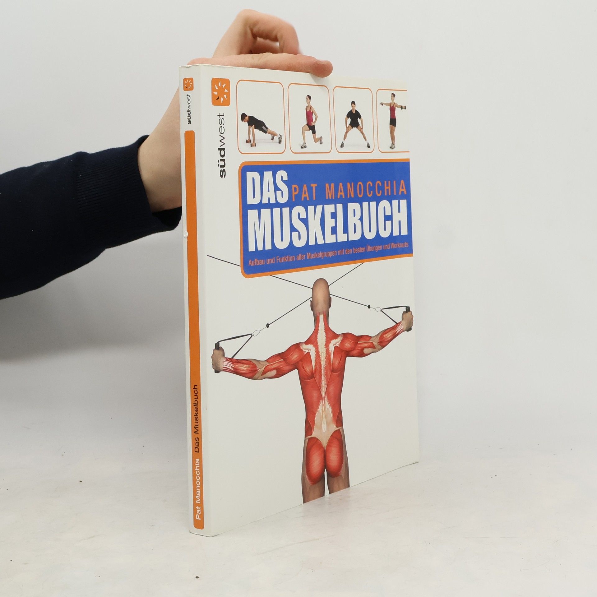 Pat Manocchia Das Muskelbuch