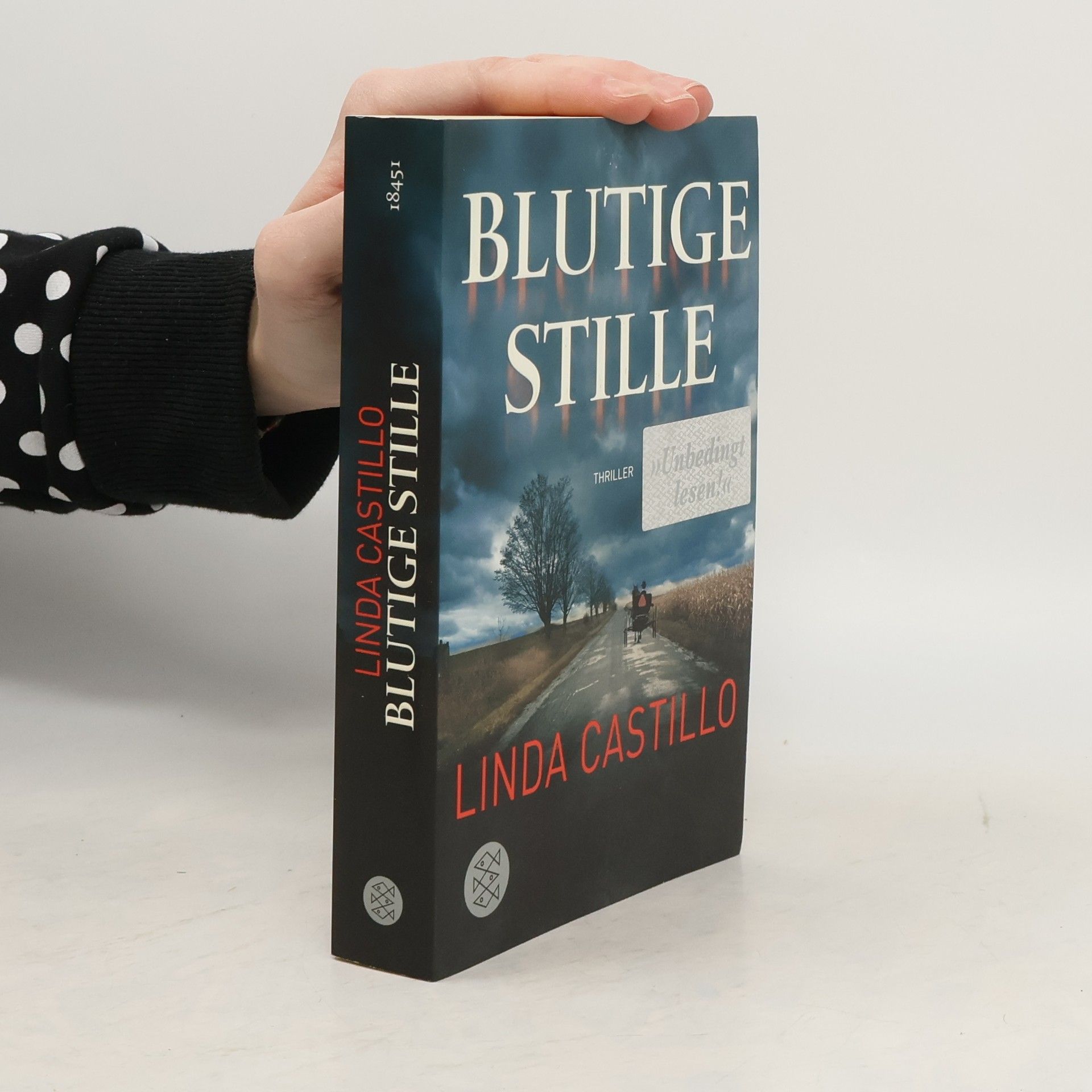 Linda Castillo Blutige Stille