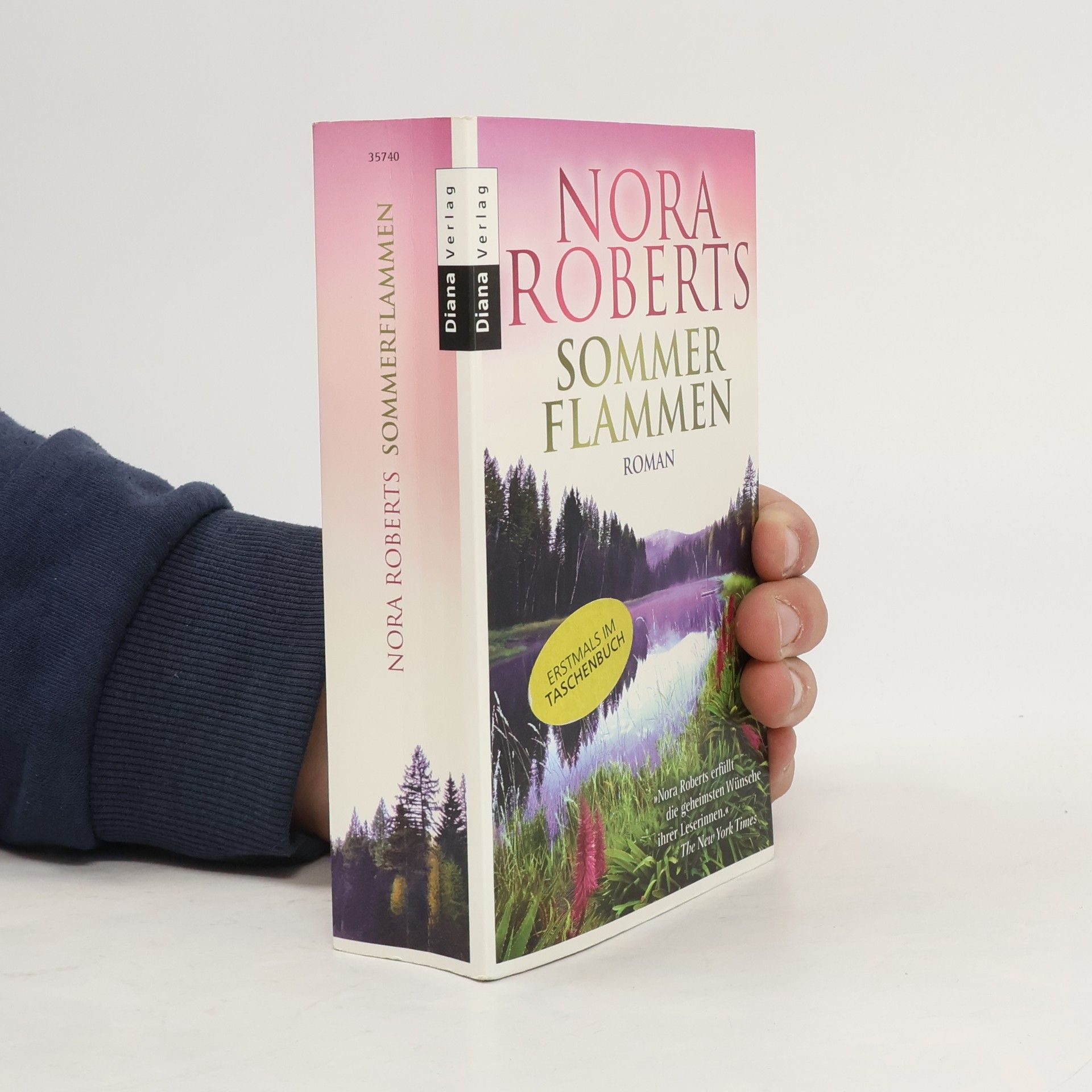 Nora Roberts Sommer Flammen